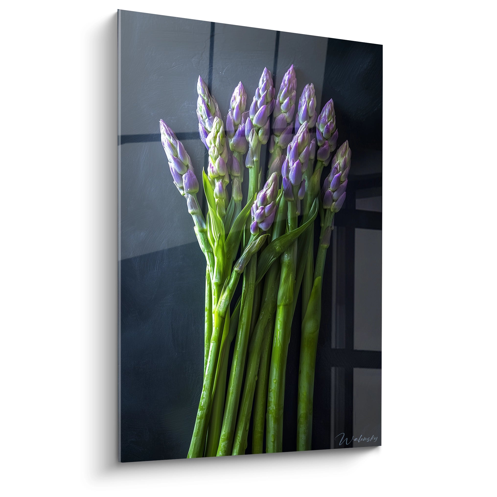 Un tableau asperge montrant plusieurs tiges allongées sur fond noir, avec des tons verts et violets et une texture lisse affichant un rendu net.

