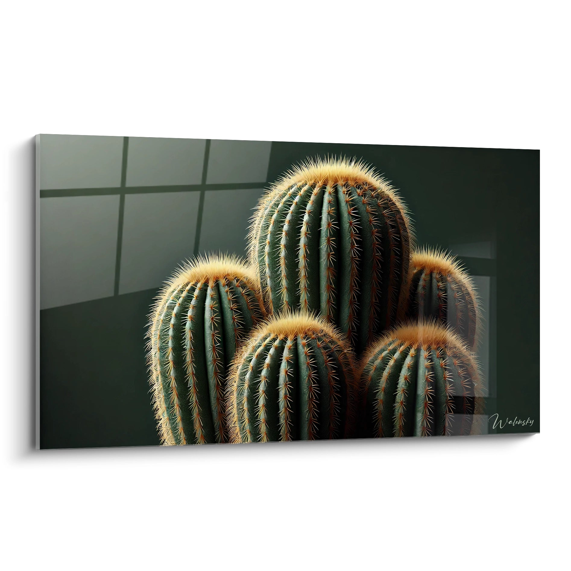 tableau Cactus vue de biais capture le réalisme du cactus avec une precision saisissante chaque epine et detail evoquent perseverance et serenite un contraste parfait pour un interieur sophistique

