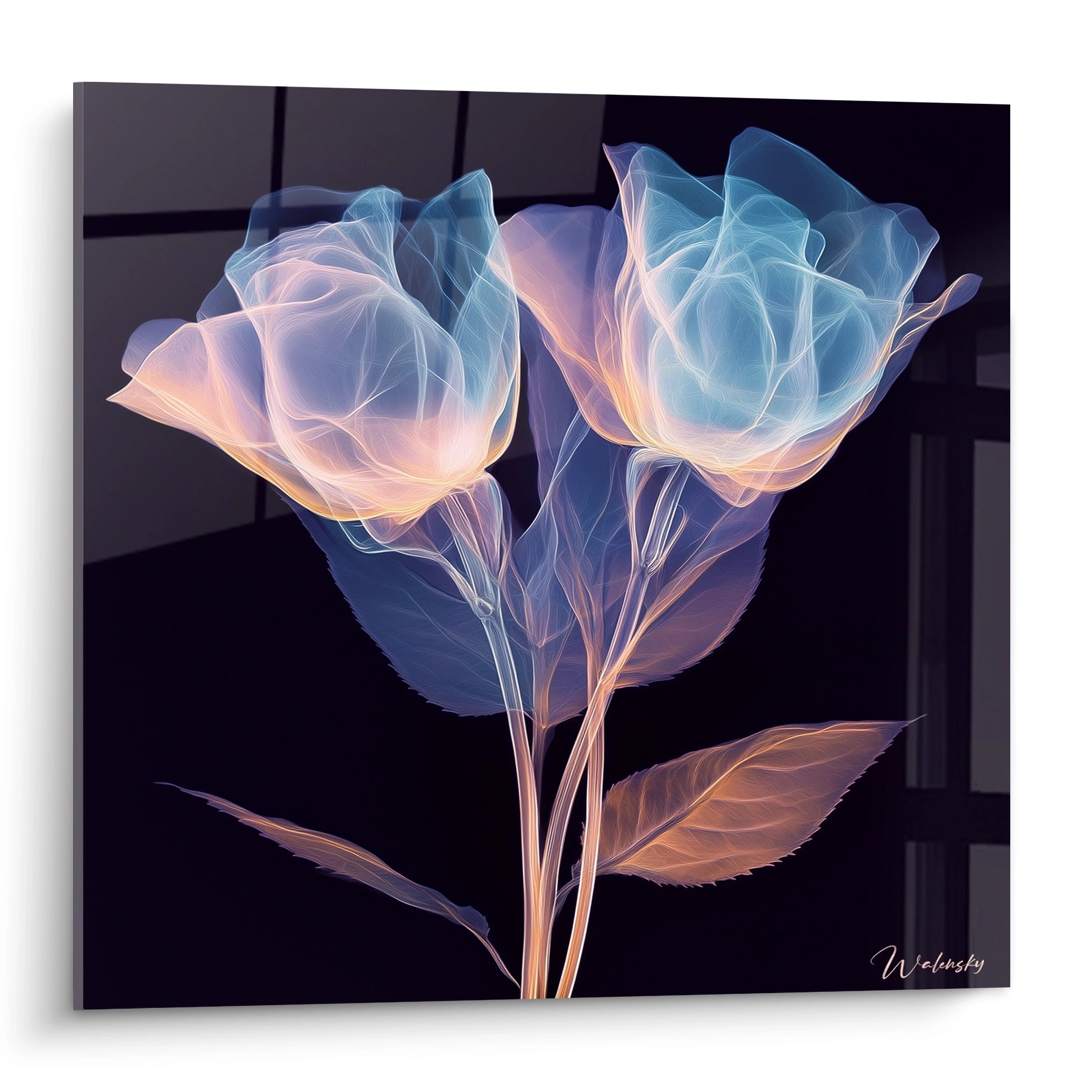 Un tableau fleurs translucides présentant deux tulipes éthérées aux contours lumineux bleu et orange sur fond noir. Les pétales diaphanes révèlent une structure interne délicate, créant un effet de radiographie artistique avec des nervures finement détaillées.
