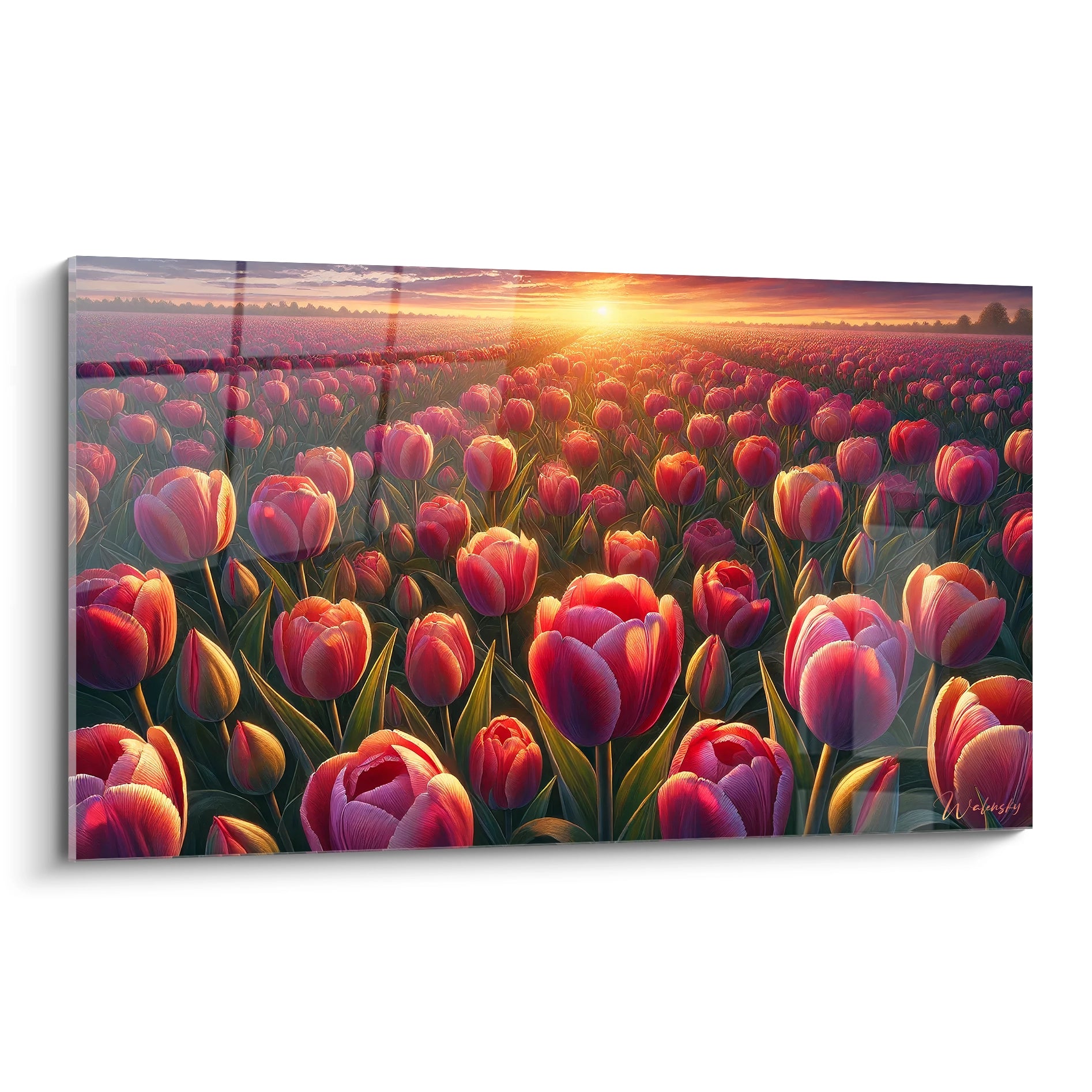 tableau Champs de Fleurs vu de biais capturant la serenite du matin avec ses tulipes eclairees par la lumiere douce Une scene vibrante ideale pour decorer tout espace lumineux

