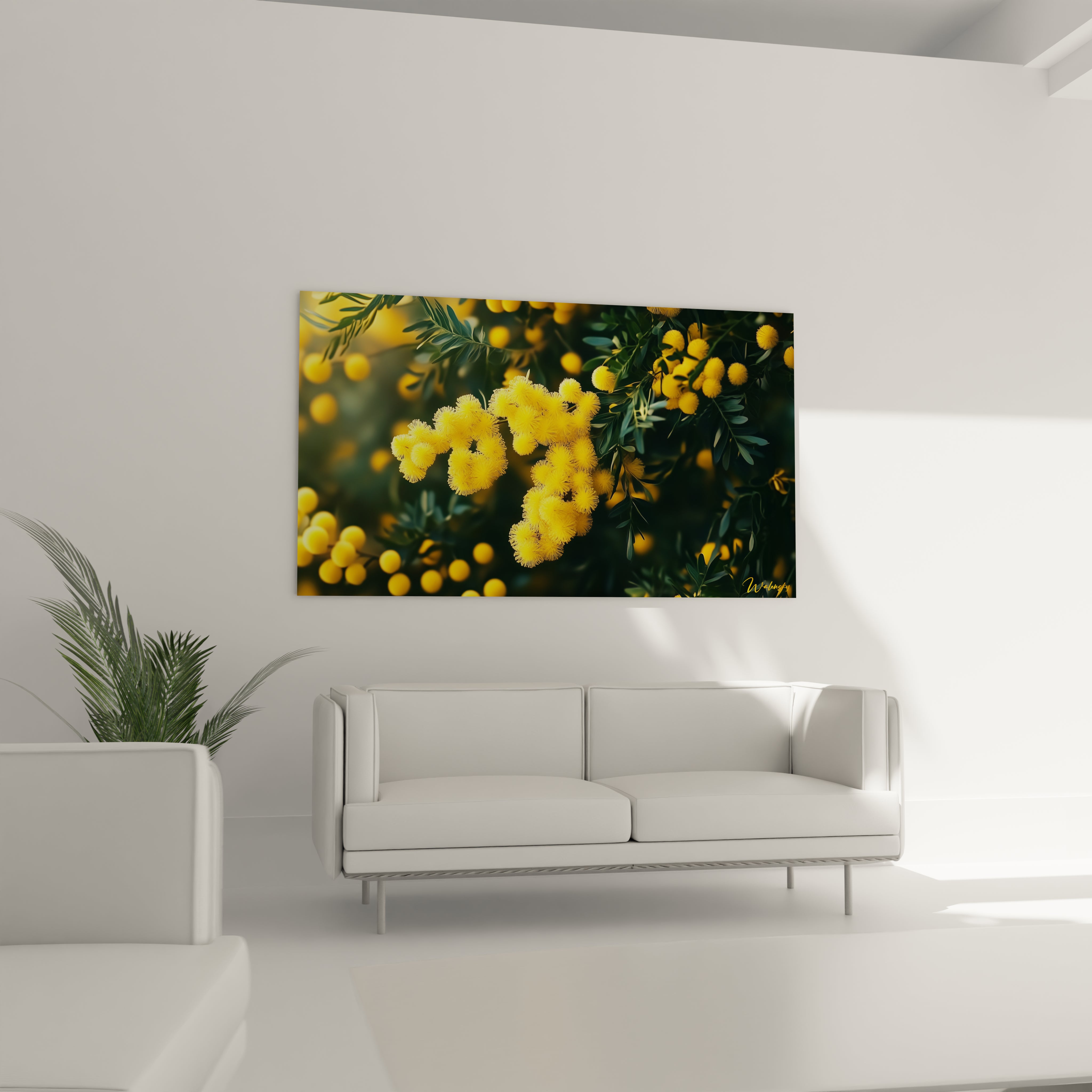 Un tableau mimosa nature mettant en avant des fleurs jaunes en relief, entourées de feuilles vertes détaillées, avec un jeu de lumière contrastant entre avant-plan lumineux et fond plus ombragé.

