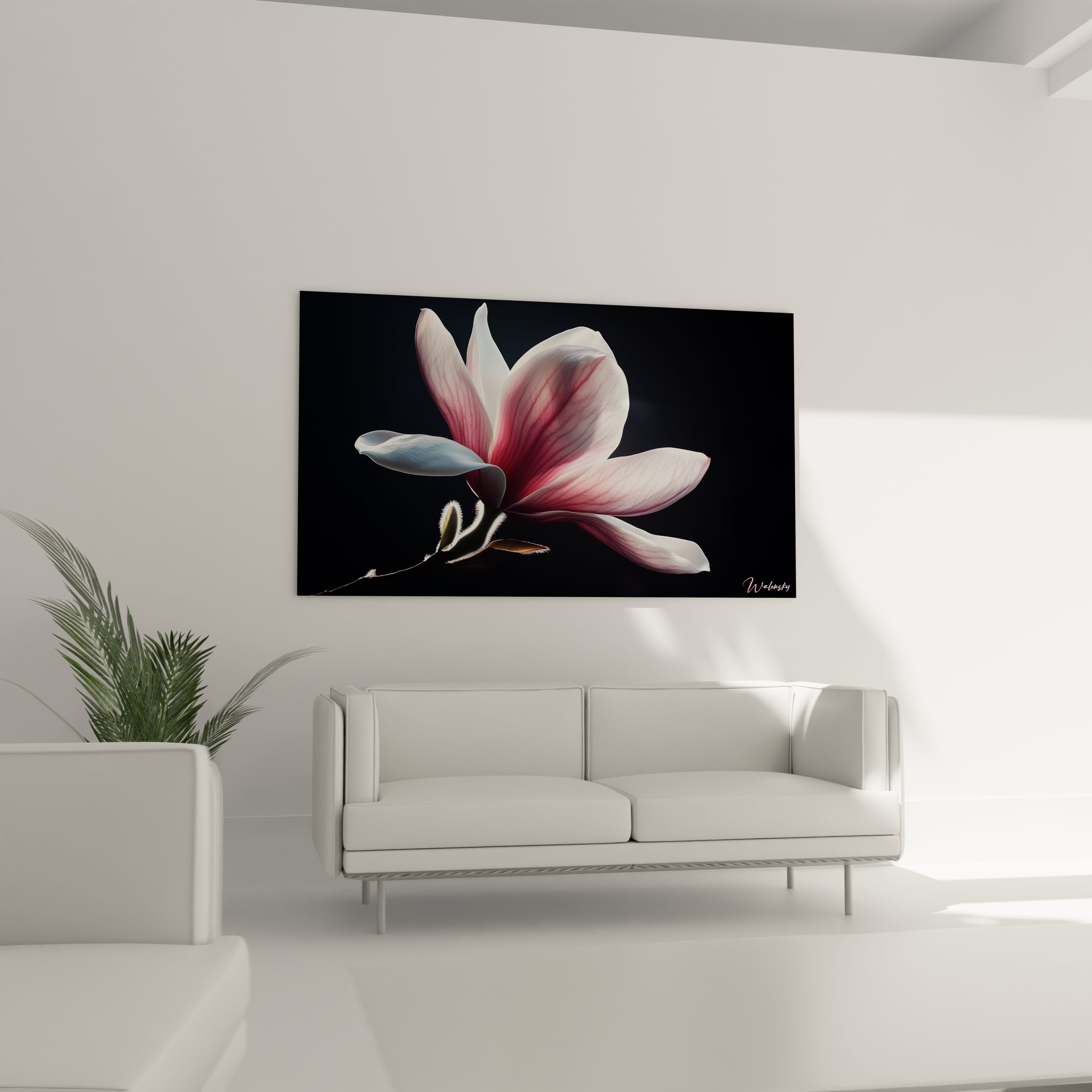 Un tableau Magnolia nature mettant en avant une unique fleur rosée, éclairée sur fond obscur, avec contours fins et textures délicates visibles.

