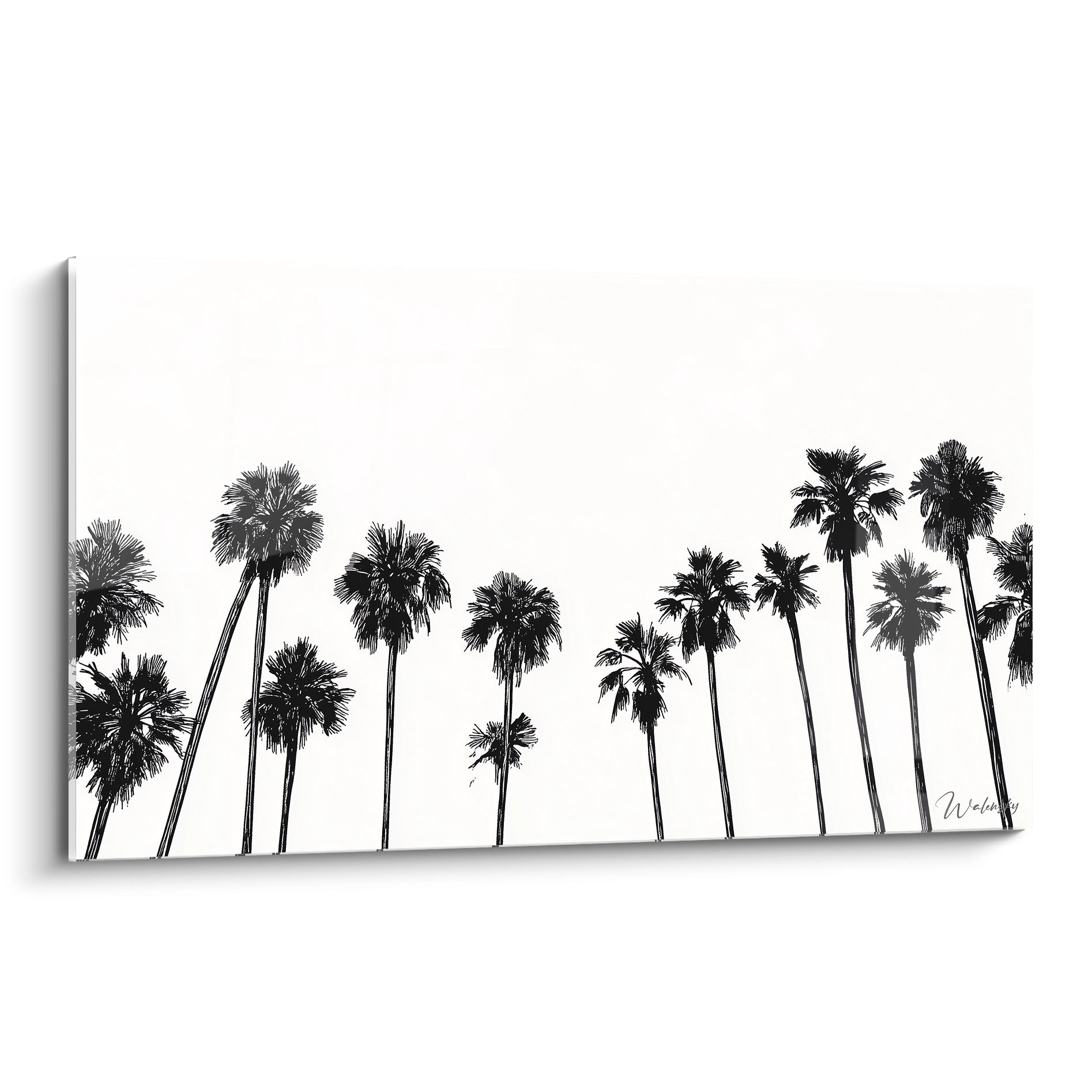 Un tableau palmier en noir et blanc présentant une rangée de palmiers californiens aux silhouettes élancées se découpant contre un fond blanc, avec des détails minutieux dans les frondes et une composition équilibrée créant un effet graphique saisissant.
