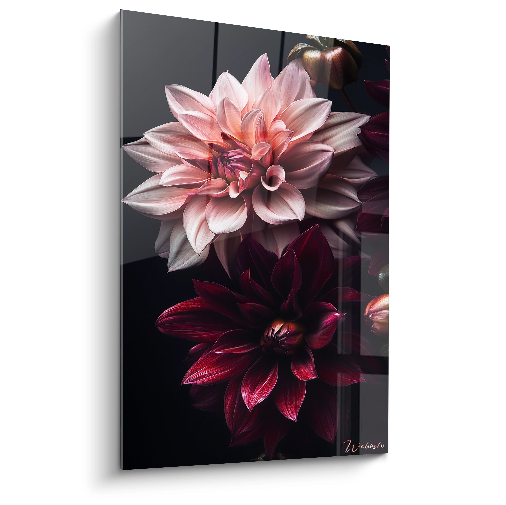 Un tableau Dahlia nature mettant en avant des dahlias aux pétales rose pâle et rouge profond sur un fond noir. Les textures lisses et détaillées accentuent le relief et la lumière des fleurs.

