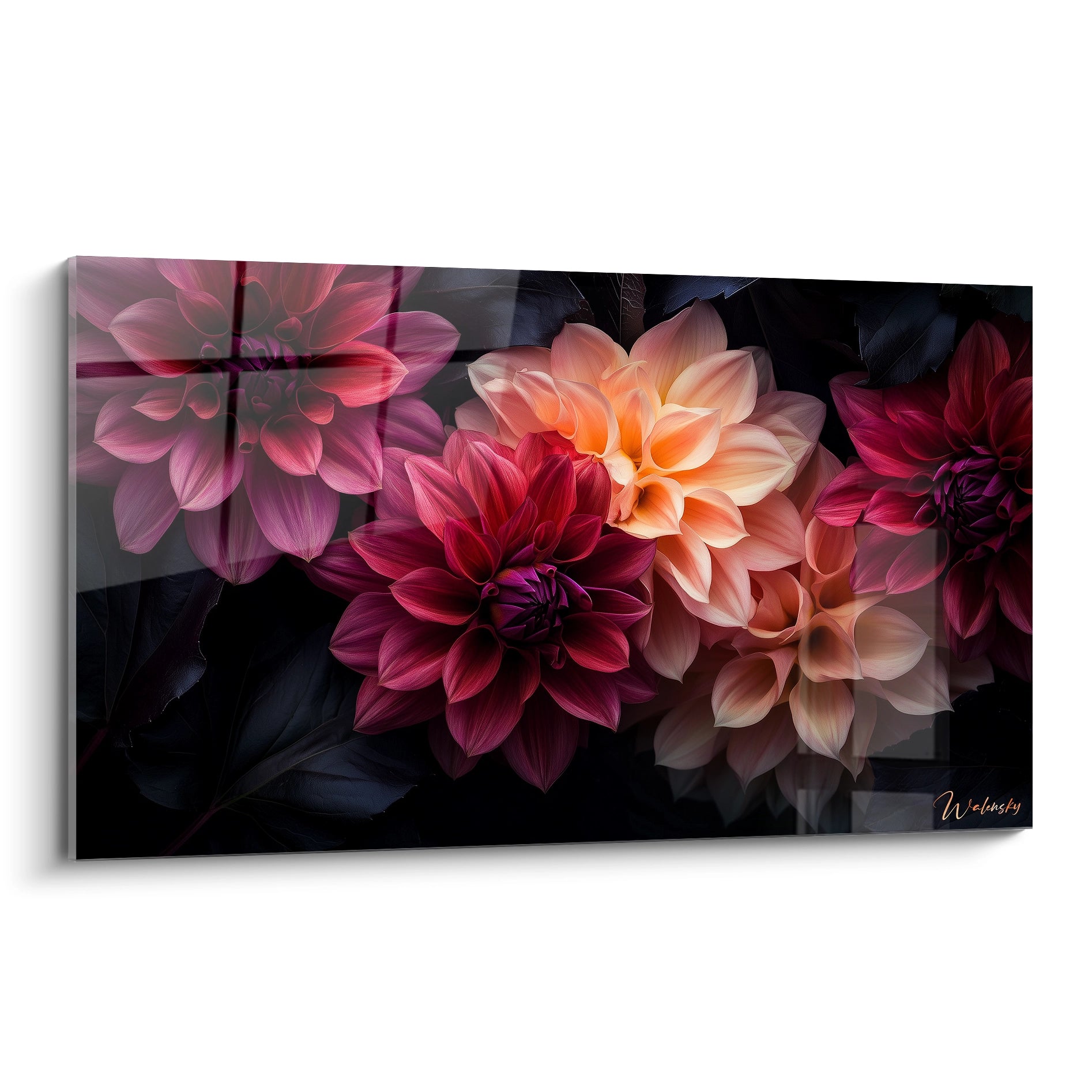 Un tableau Dahlia nature représentant des fleurs détaillées aux pétales rouge profond, rose et orange, sur un fond sombre contrasté, avec des textures lisses et des jeux d’ombres marqués.

