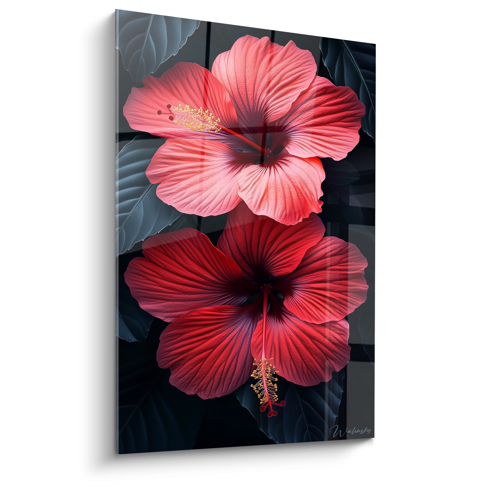 Un tableau Hibiscus nature montrant deux fleurs d’hibiscus aux pétales rouges et roses, sur un fond sombre avec des feuilles détaillées en noir et bleu, créant un contraste marqué.


