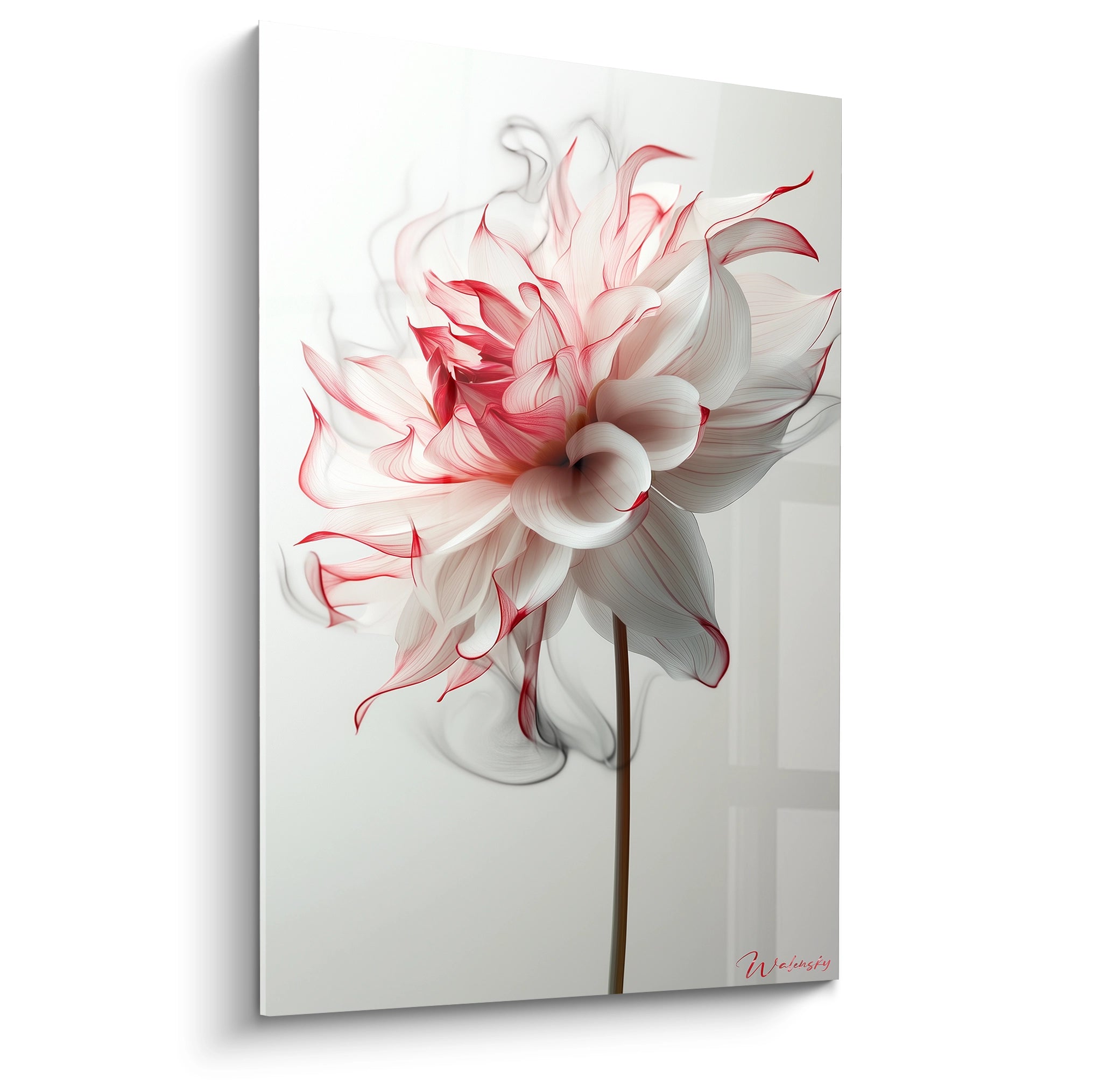 Un tableau Dahlia nature représentant une fleur stylisée aux pétales blancs et rouges, avec des contours fluides et des effets de transparence sur un fond clair et lisse.

