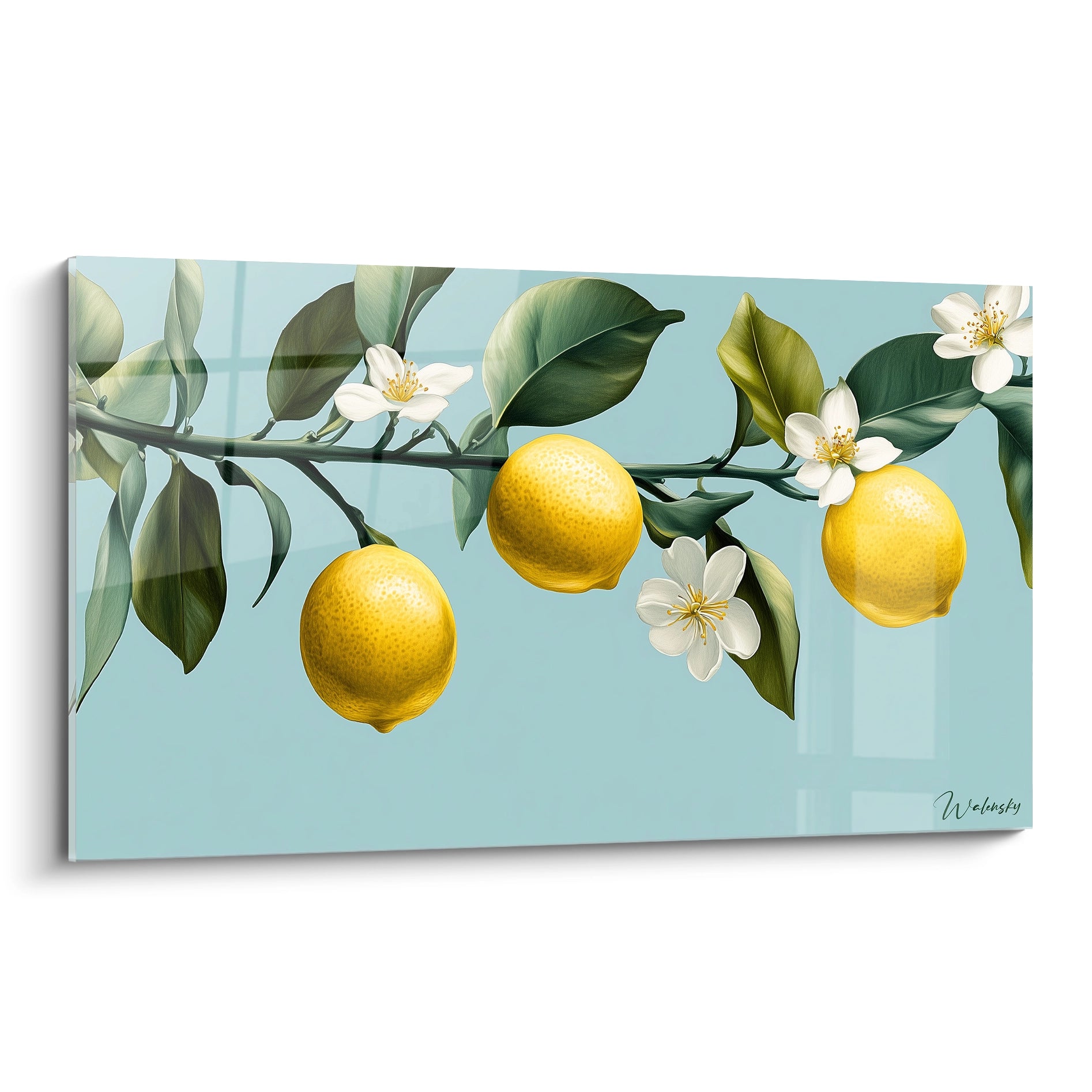 Un tableau citronnier nature illustrant une branche avec trois citrons jaunes, des feuilles vertes et des fleurs blanches sur fond bleu clair, avec des textures lisses et des détails précis.

