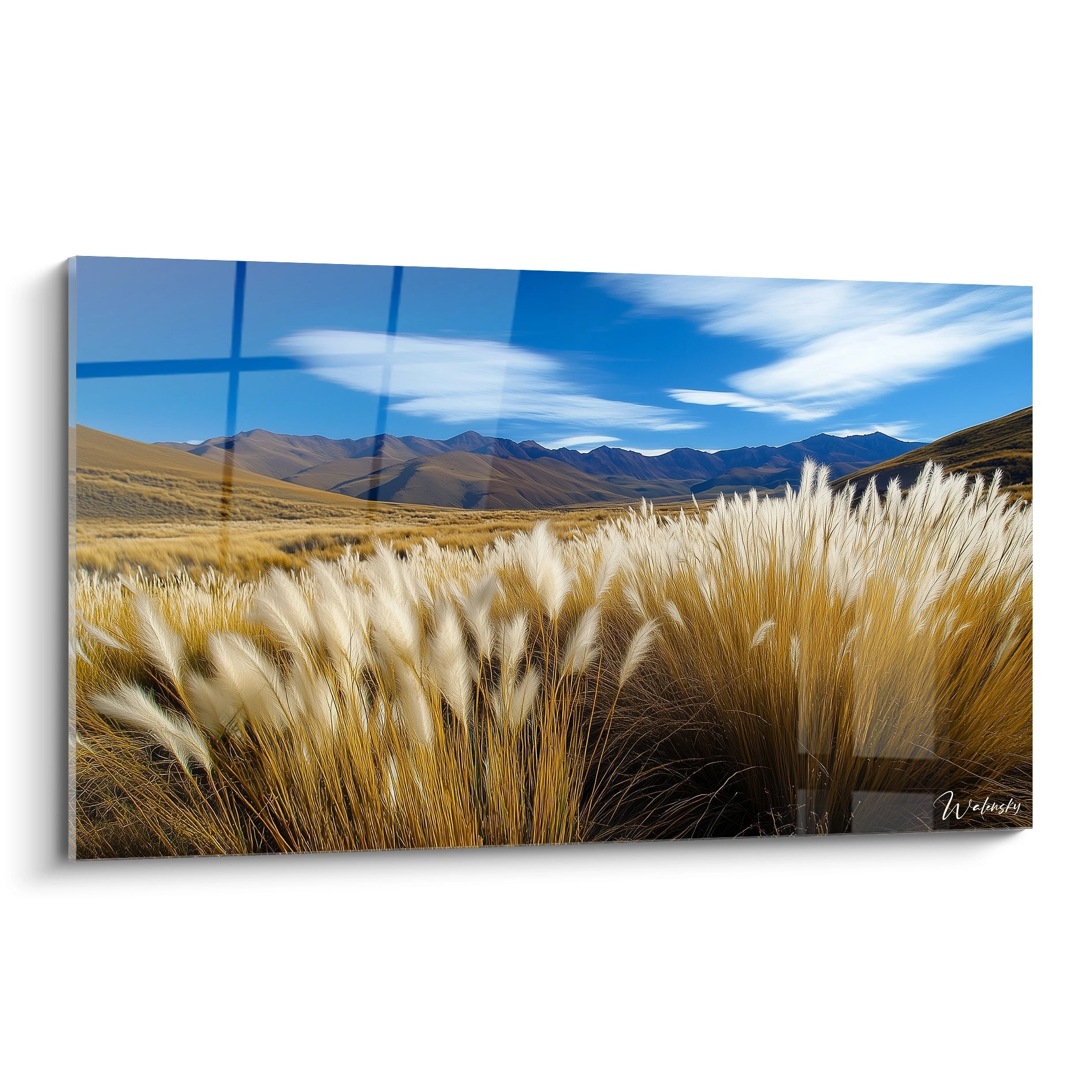 Un tableau paysage représentant une étendue de hautes herbes dorées sous un ciel bleu vif, avec des montagnes brunes en arrière-plan. Les textures fines des herbes contrastent avec les reliefs lisses des collines.

