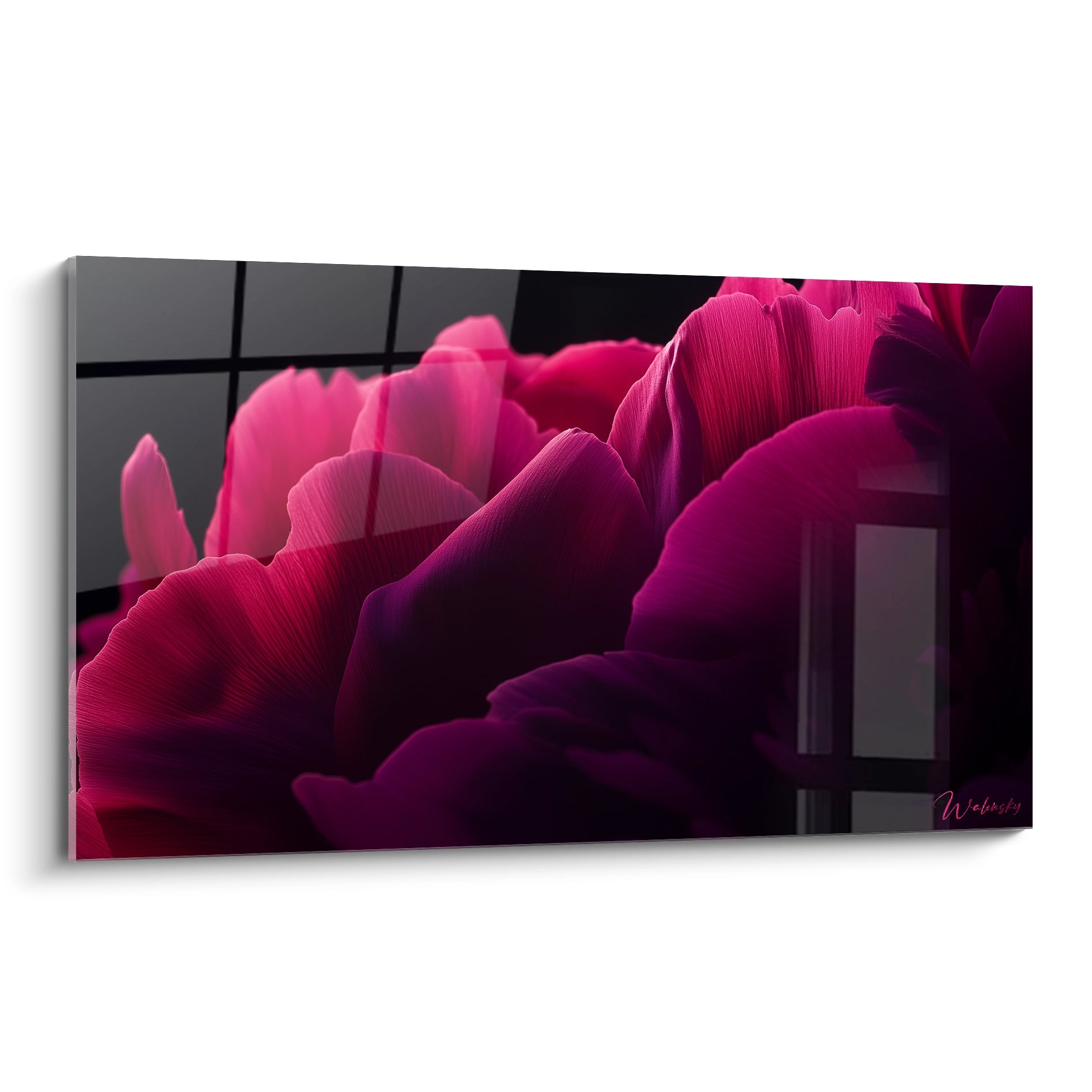 Un tableau pivoine nature représentant des pétales aux teintes rose vif et violet profond sur un fond noir, avec des textures lisses et des jeux d’ombres accentuant les reliefs.

