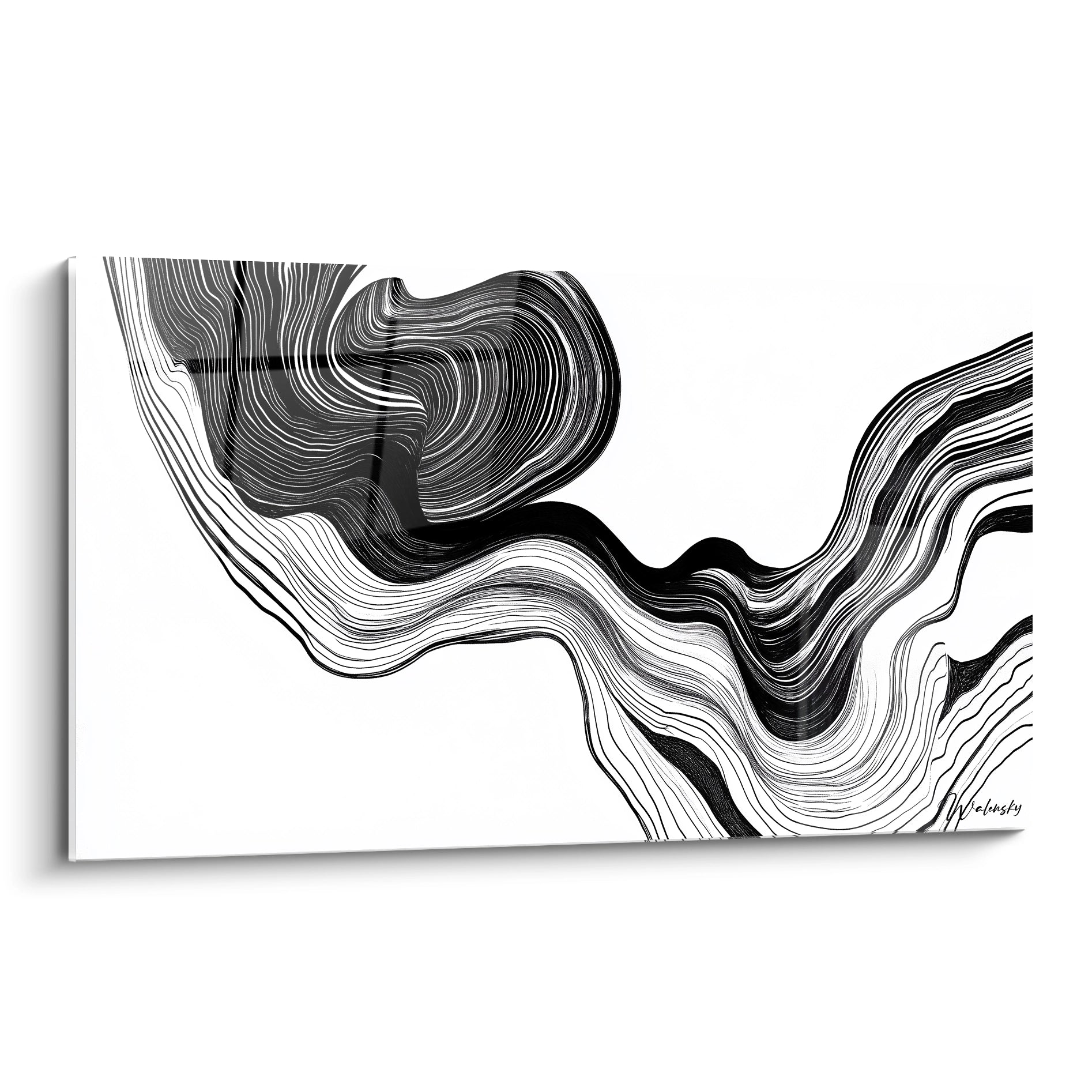 Un tableau rayures noir et blanc composé de lignes fluides et ondulantes qui se déploient en mouvements organiques sur toute la surface. Les courbes créent une sensation de profondeur et de mouvement perpétuel avec un contraste saisissant entre zones d'ombre intenses et espaces lumineux.
