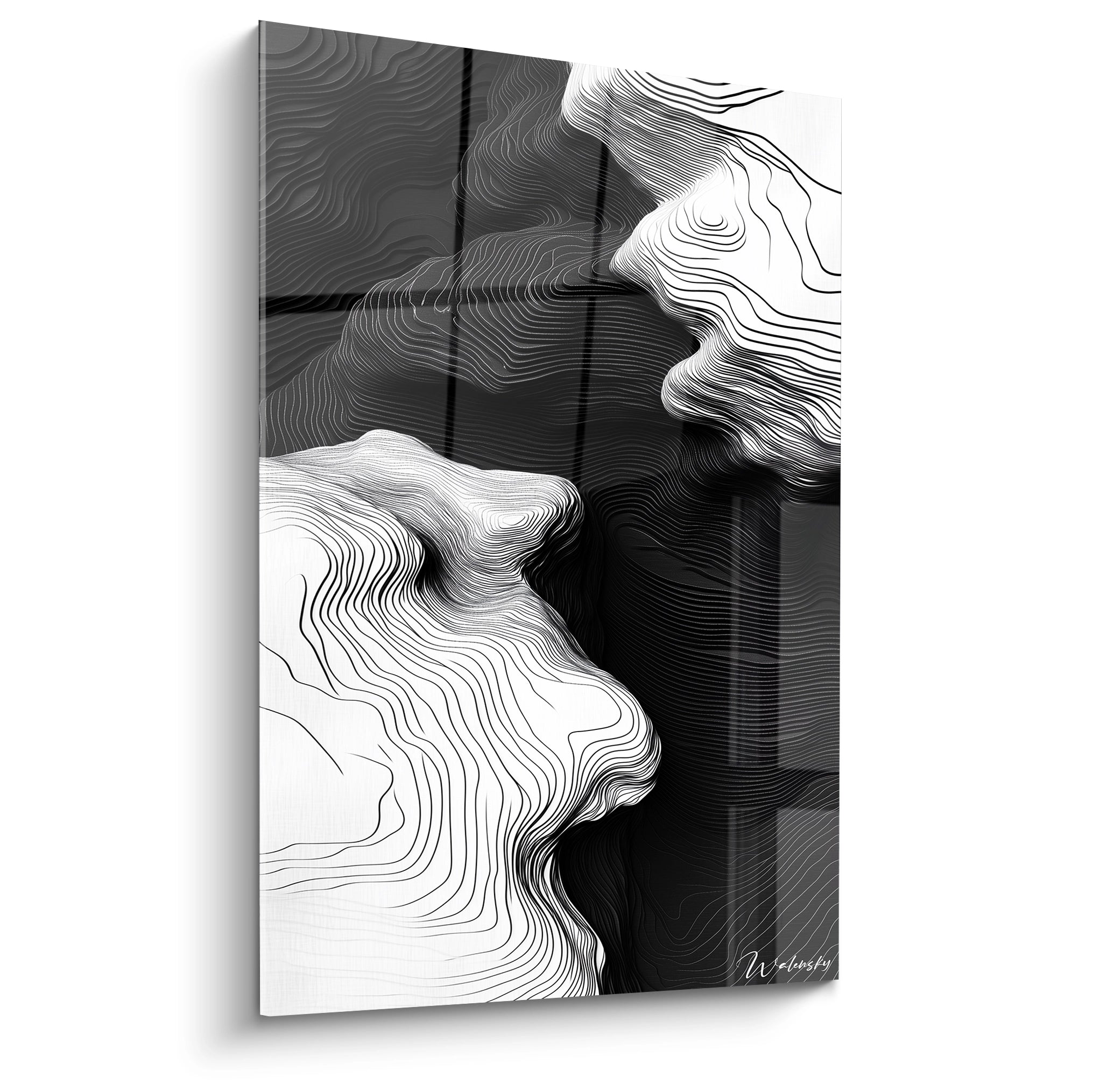 Un tableau rayures noir et blanc représentant des formes ondulantes topographiques, avec des lignes fluides et précises créant une illusion de relief et de profondeur. Les courbes contrastées dessinent des motifs abstraits évoquant des paysages ou des vagues figées dans un mouvement perpétuel.

