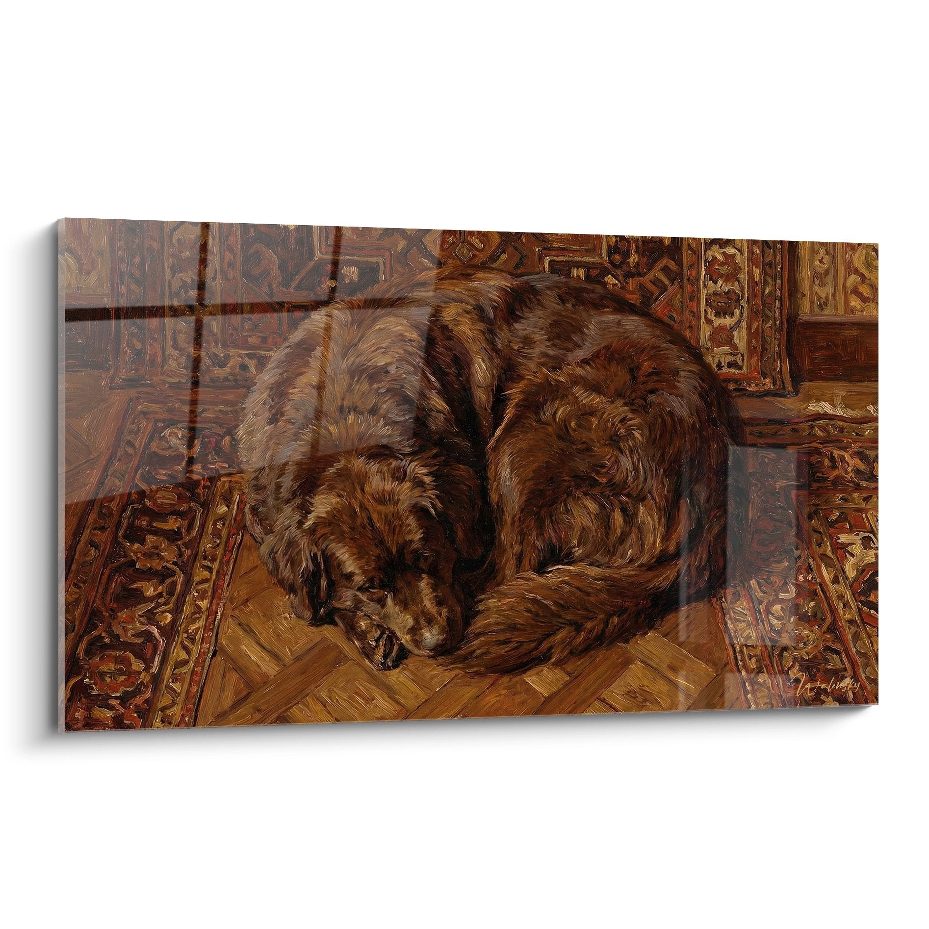 Terre Neuve brun endormi sur tapis oriental doré avec motifs persans et parquet ambré