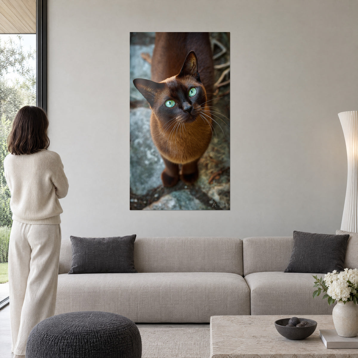 Schilderij Burmese kat met groene ogen die naar ons opkijken, vacht in chocolade en amber, boven een bank in een lichte woonkamer