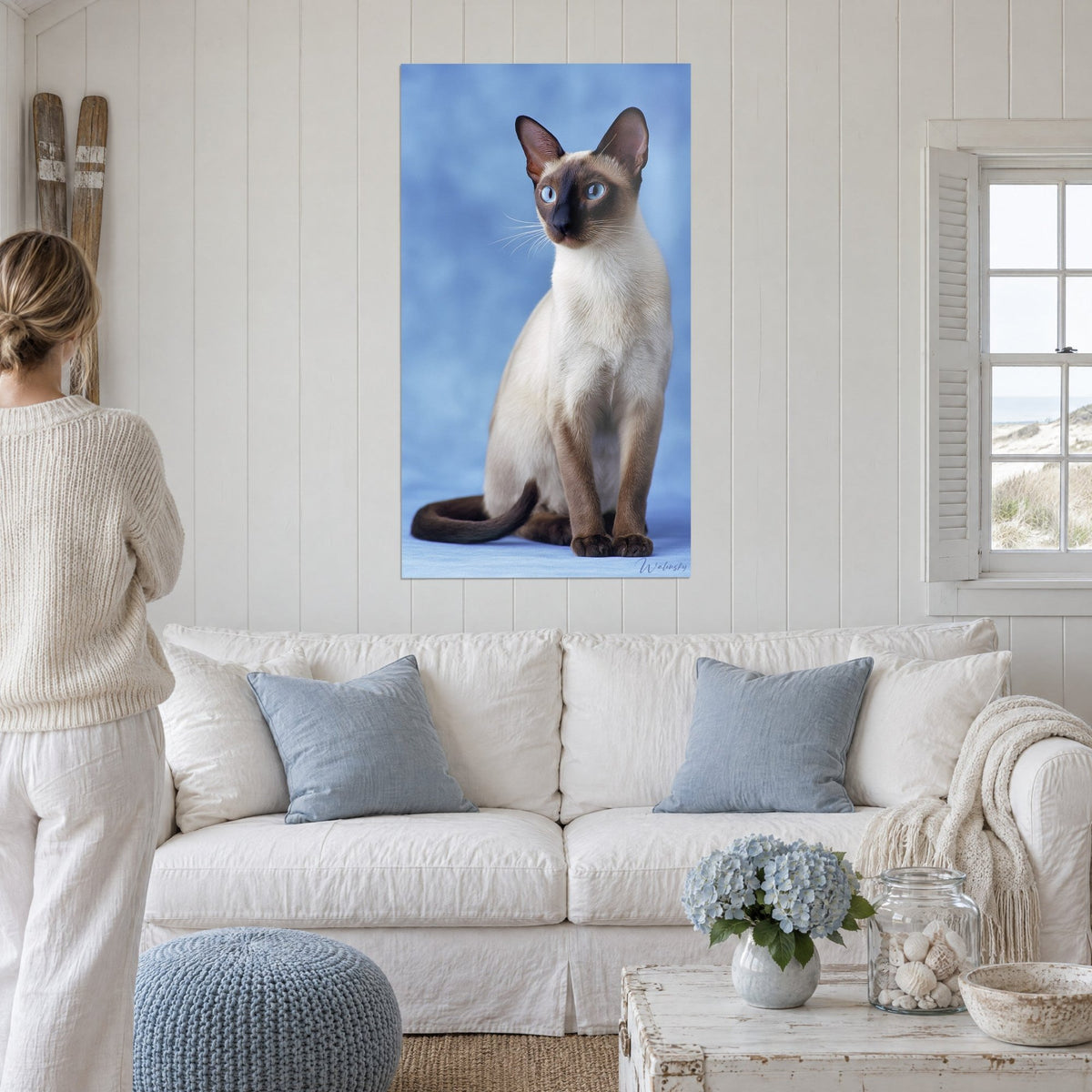 Tableau chat tonkinois aux yeux bleus, pelage crème et masque chocolat sur fond bleu, au-dessus d'un canapé dans un salon lumineux