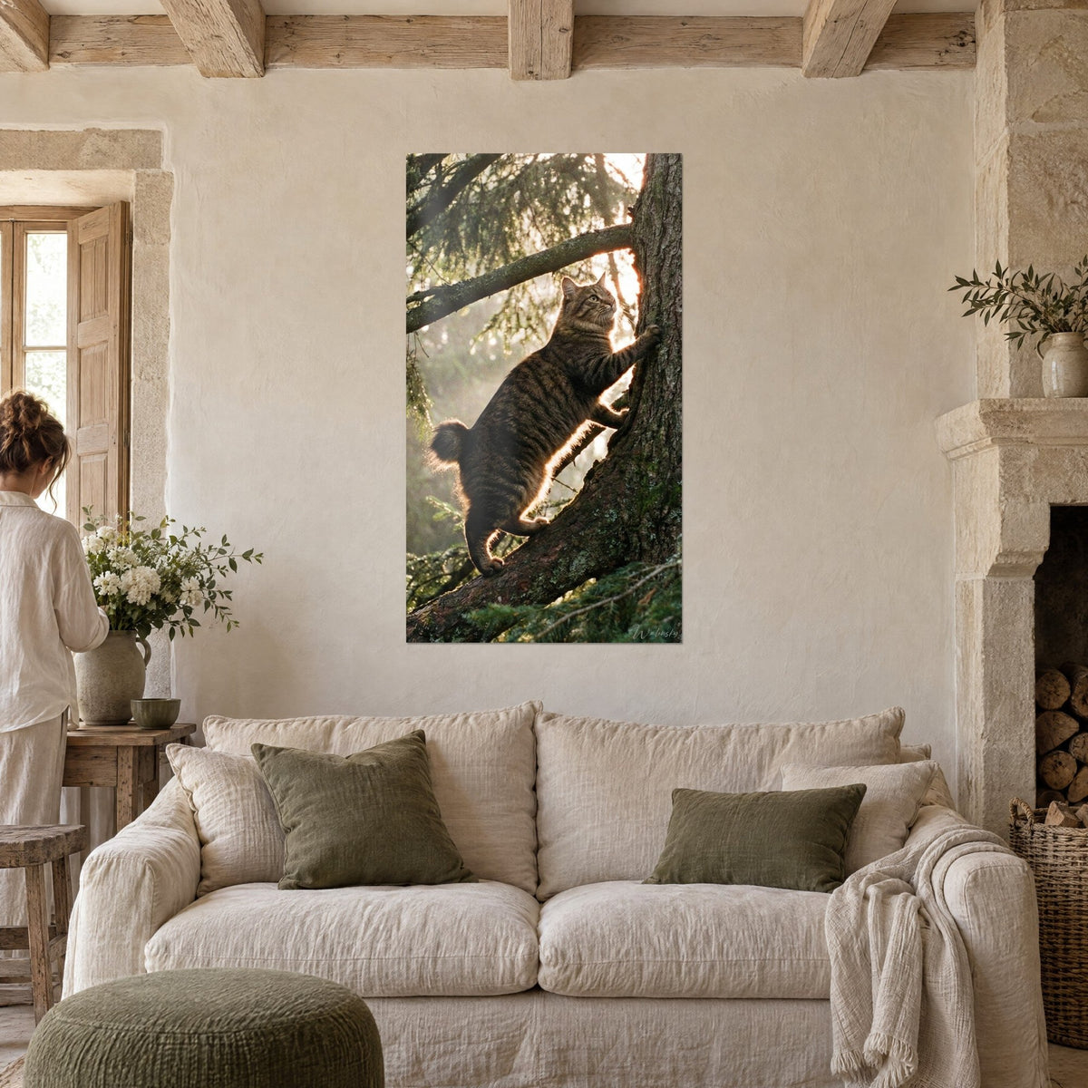 Quadro gatto tigrato che si arrampica su un tronco d'abete, pelo bruno a strisce, controluce dorata, sopra un divano in un soggiorno luminoso