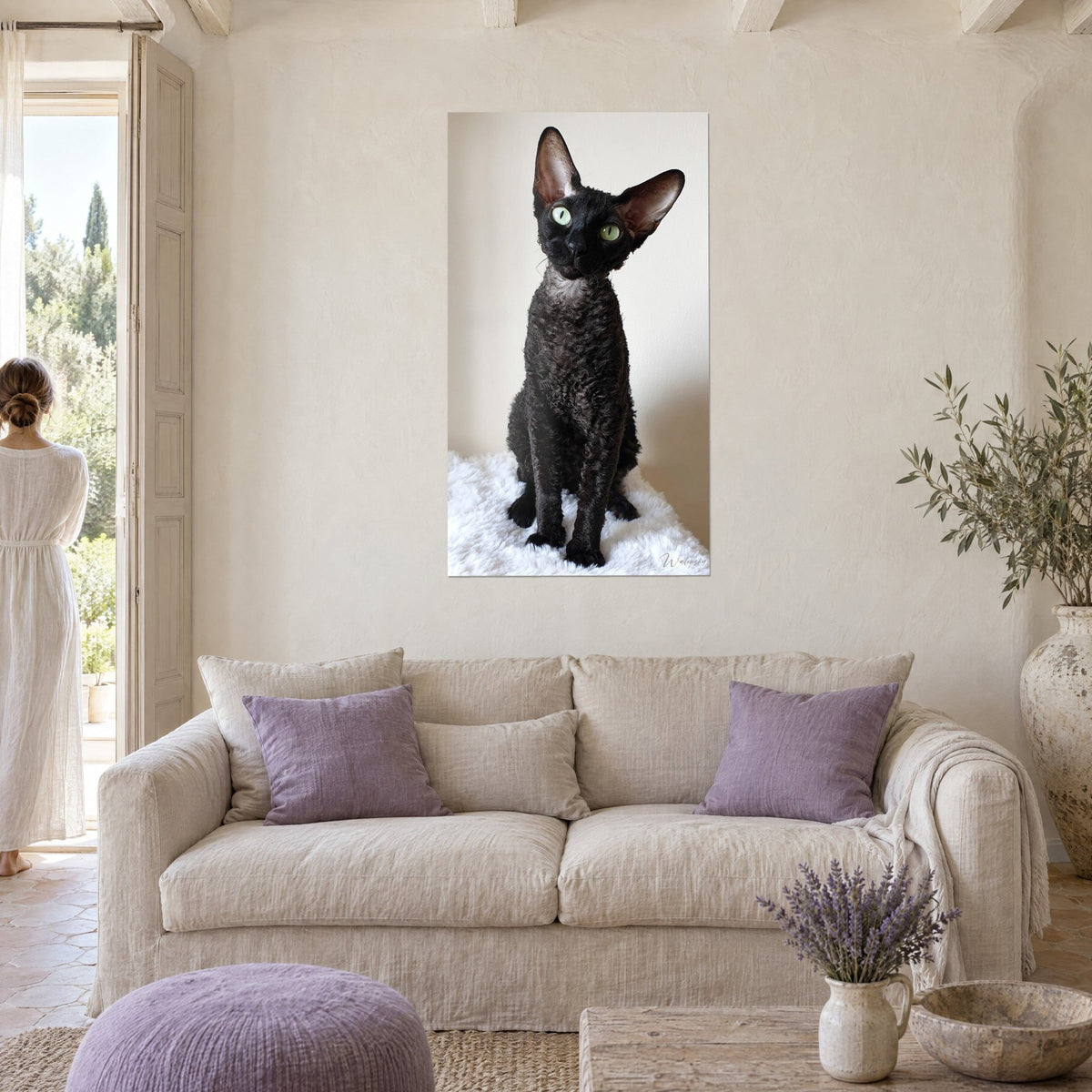 Quadro gatto Cornish Rex nero dagli occhi verdi, orecchie dritte, pelo riccio su plaid bianco, sopra un divano in un soggiorno luminoso