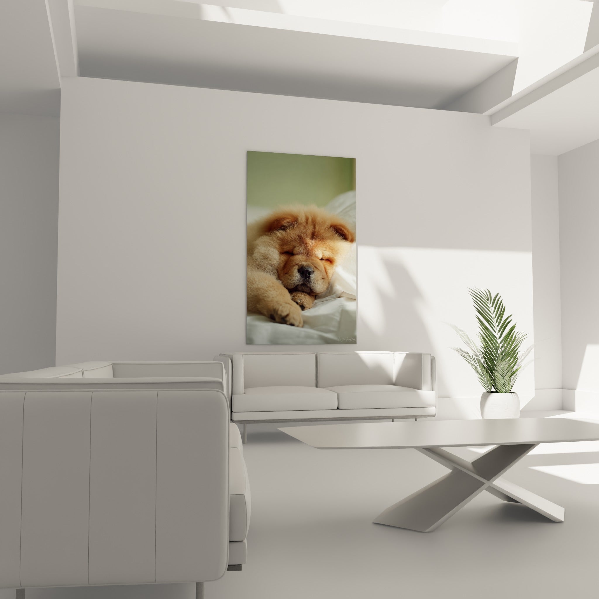 Tableau Chiot roux blotti museau noir entre ses pattes potelées - Petites pattes câlines - Edition Chow Chow