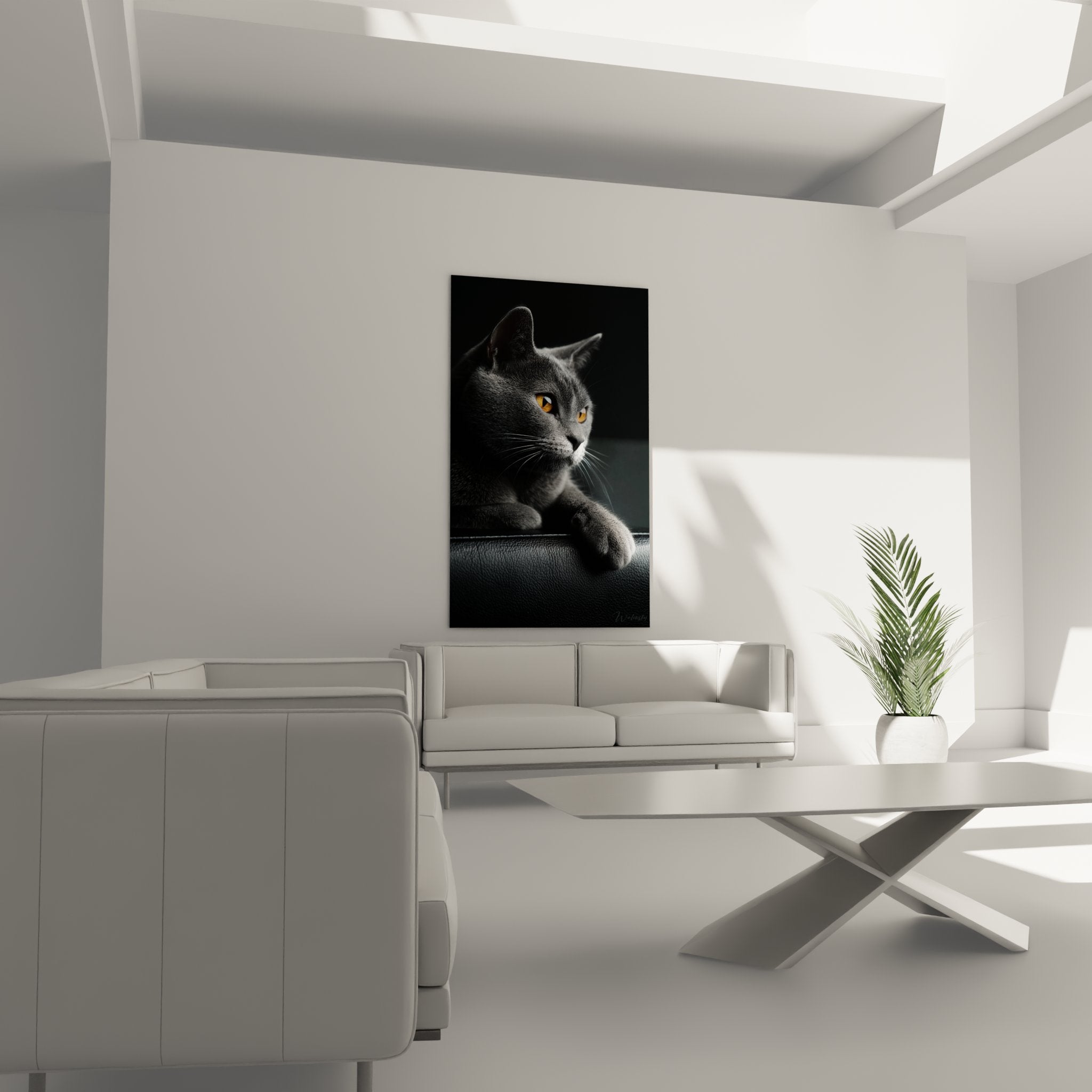 Gros plan yeux dorés chat Chartreux, détail artistique pelage gris-bleu soyeux race française