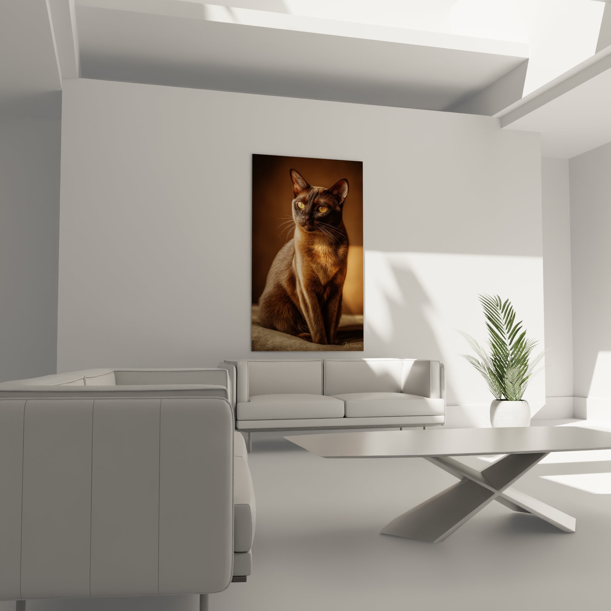 Primo piano quadro gatto birmano che mostra i dettagli del morbido mantello e lo sguardo ambrato intenso