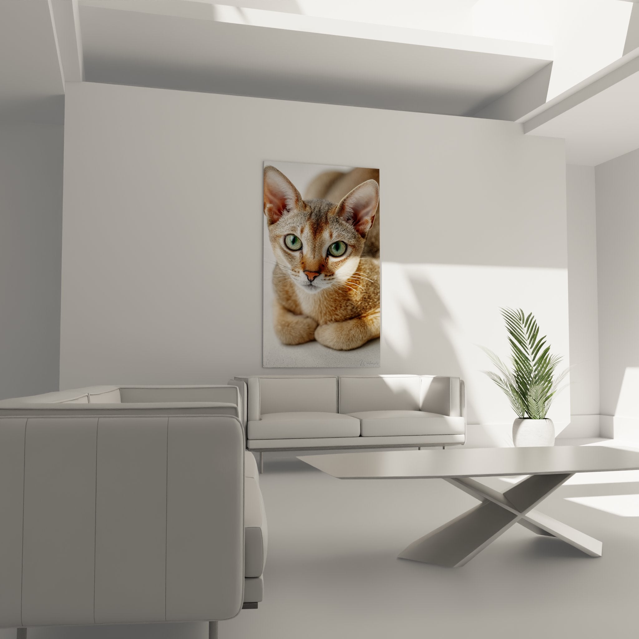 Gros plan tableau chat Singapura, detail yeux verts emeraude, pelage texture realiste impression toile