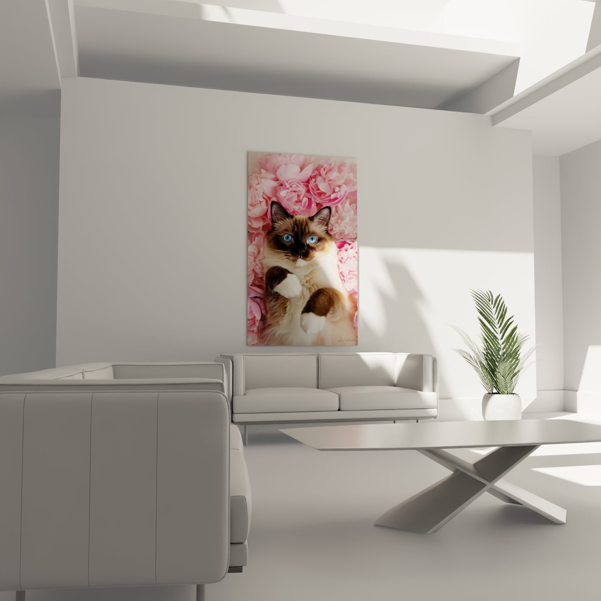 Primo piano quadro gatto Birmano sguardo blu intenso peonie rosa dettaglio manto crema cioccolato