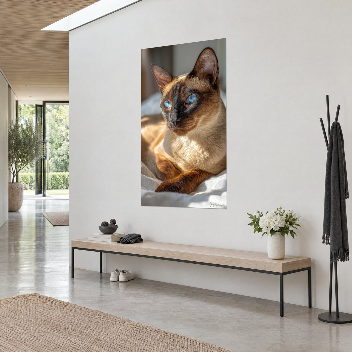 Tableau félin crème aux pattes chocolat et regard bleu vif, vu de trois-quarts sur un mur blanc près d'un banc en bois