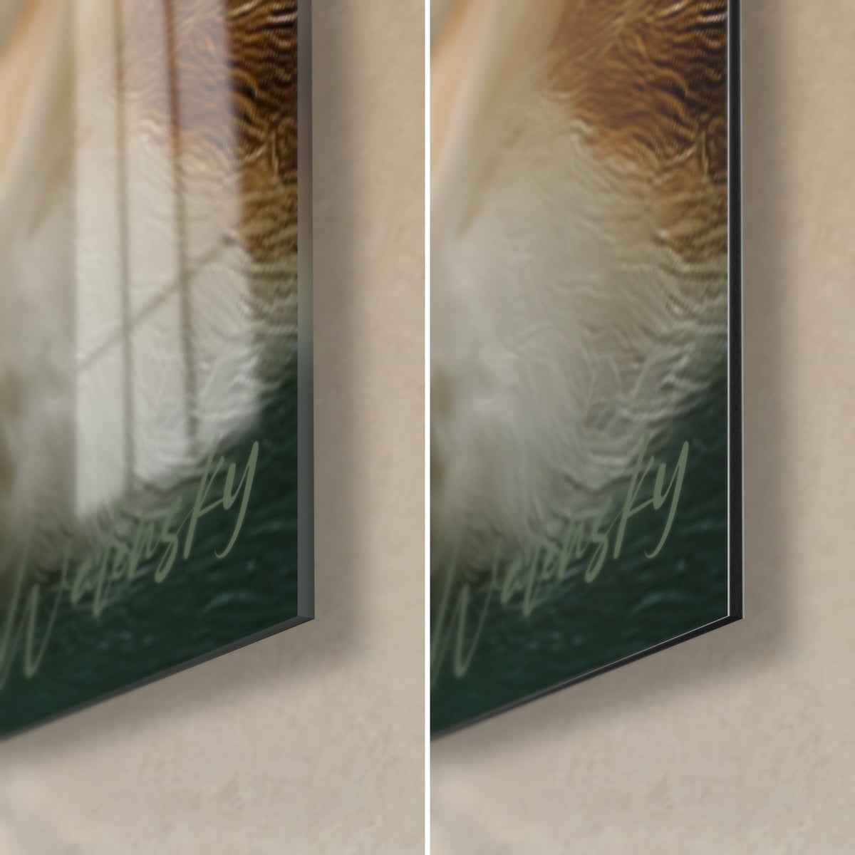 Tableau chat à la fourrure ivoire et aux reflets cuivrés, coin bas droit, verre acrylique brillant à gauche, Dibond noir mat à droite