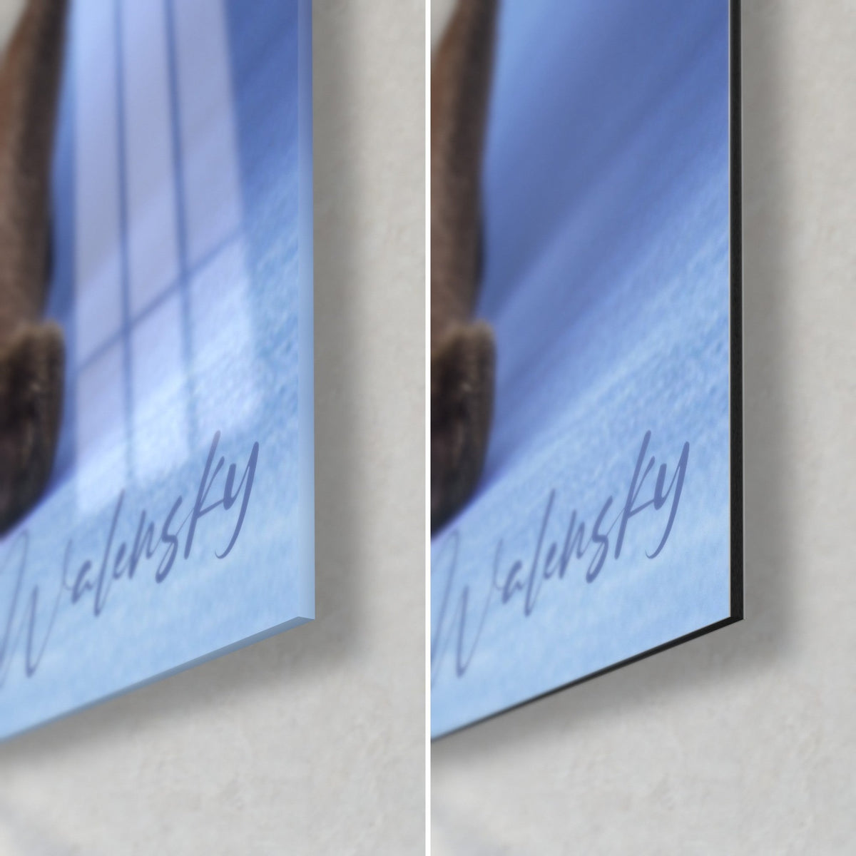 Tableau chat tonkinois, coin bas droit : verre acrylique brillant bleu et Dibond mat gris, signature Walensky, tranche de 3 mm