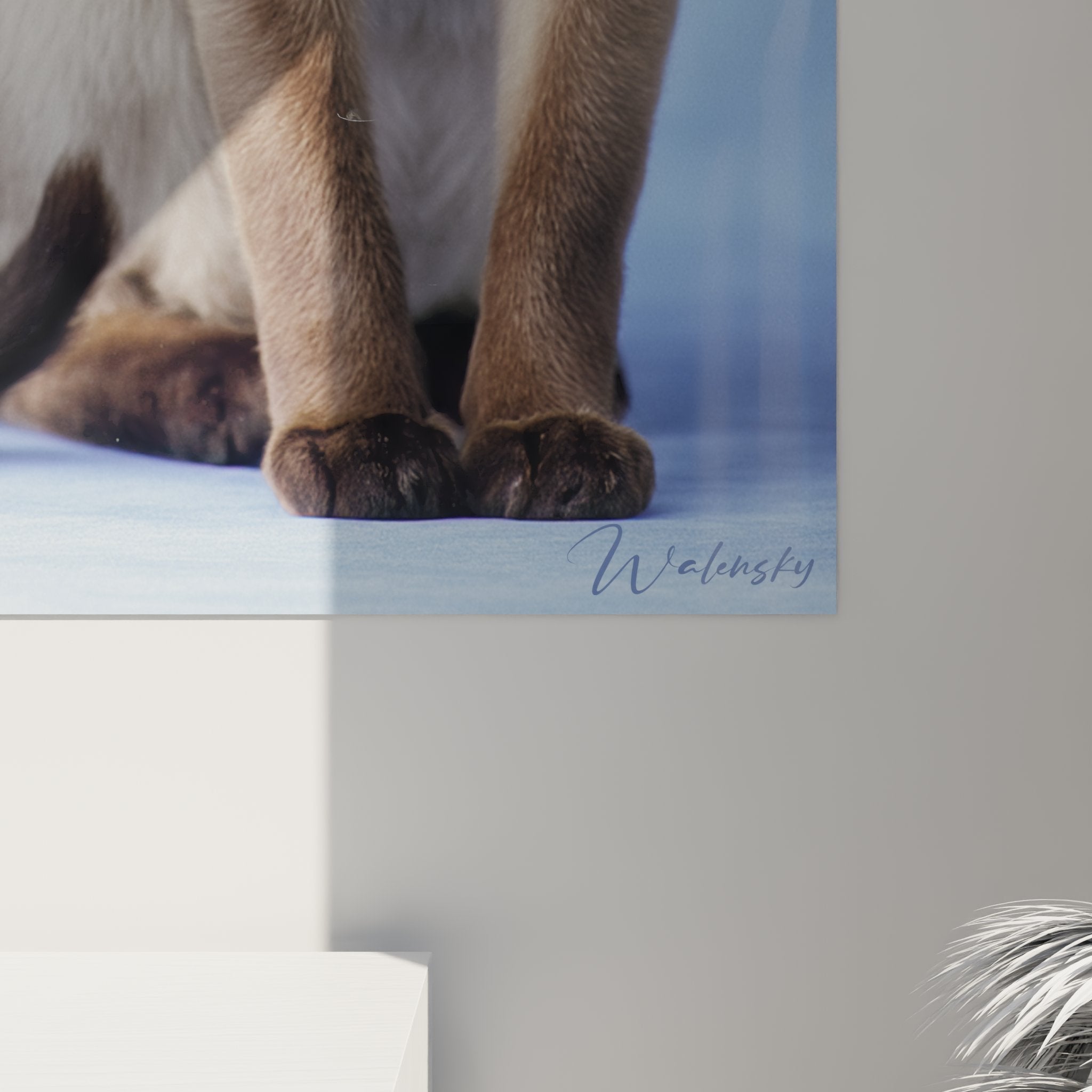 Vue d'ensemble du tableau chat Tonkinois dans un intérieur contemporain, art mural félin