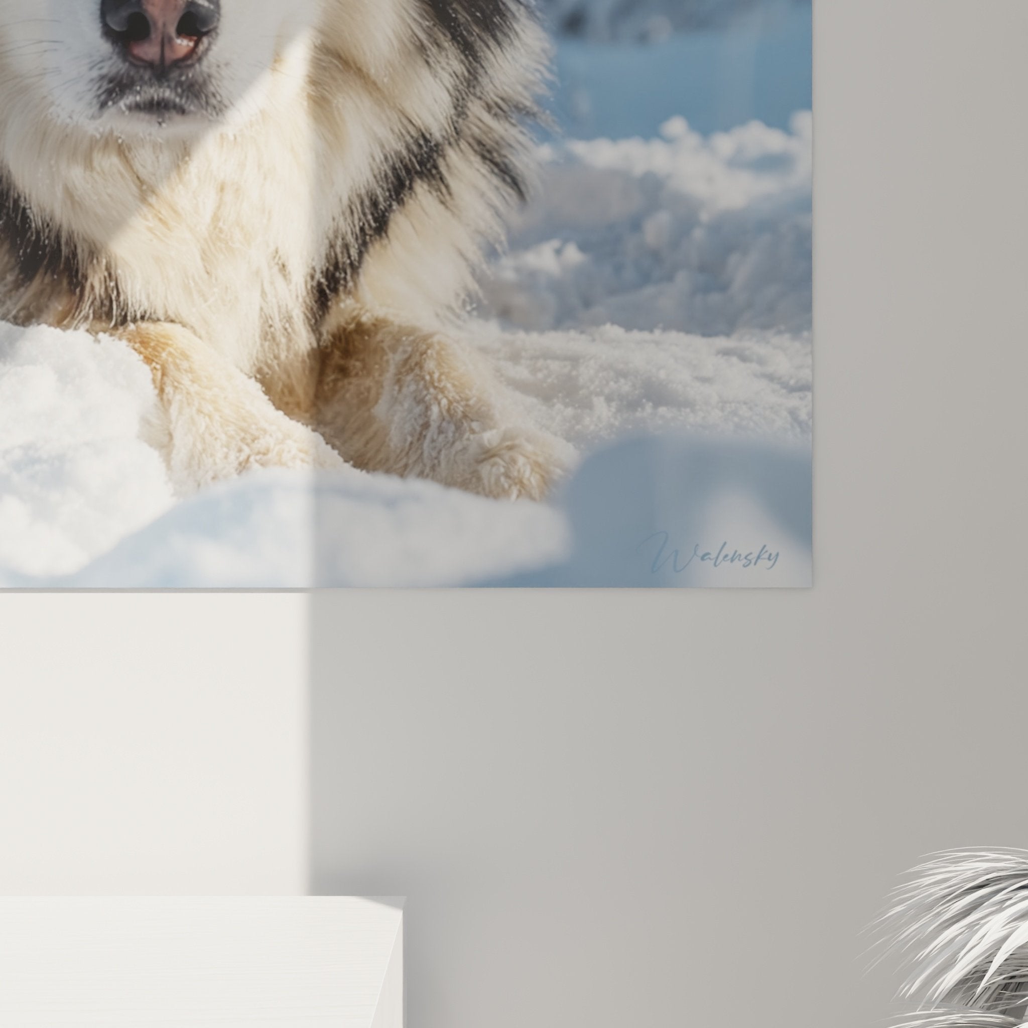 Vue d'ensemble tableau Malamute Alaska, portrait chien nordique dans paysage hivernal sapins enneigés
