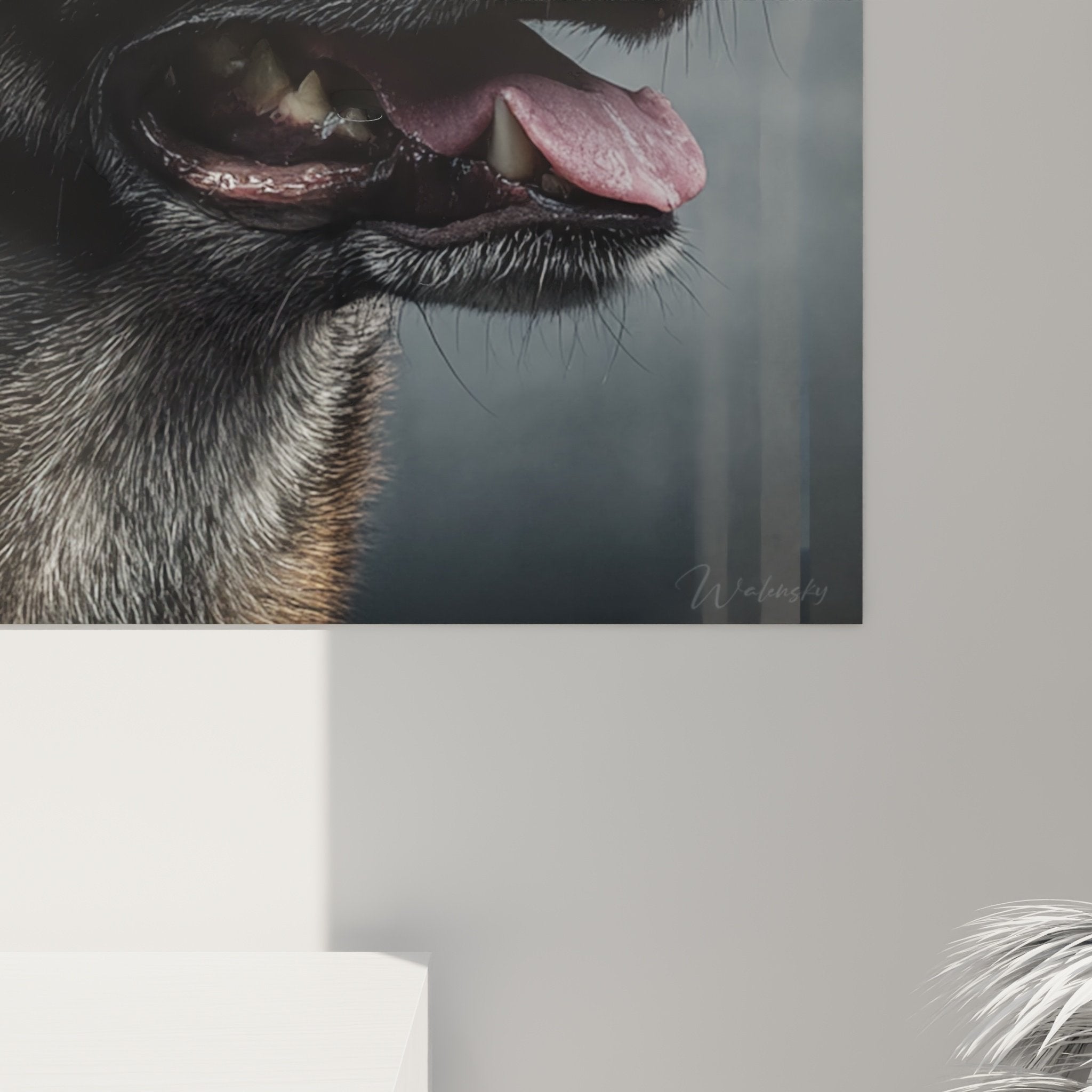 vista d'insieme ritratto pastore belga malinois quadro murale decorazione interni moderni