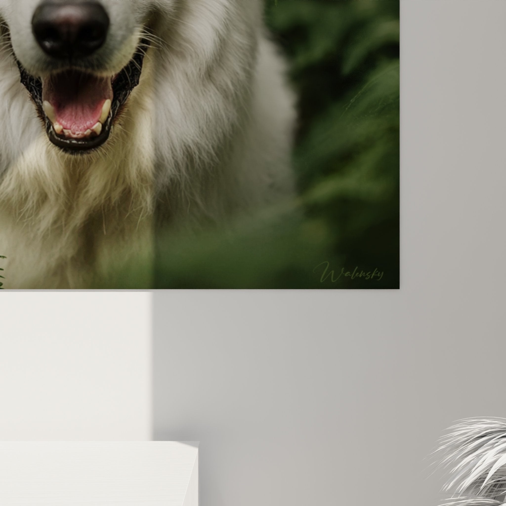 Vue d'ensemble portrait canin blanc et vert dans intérieur contemporain aux tons naturels