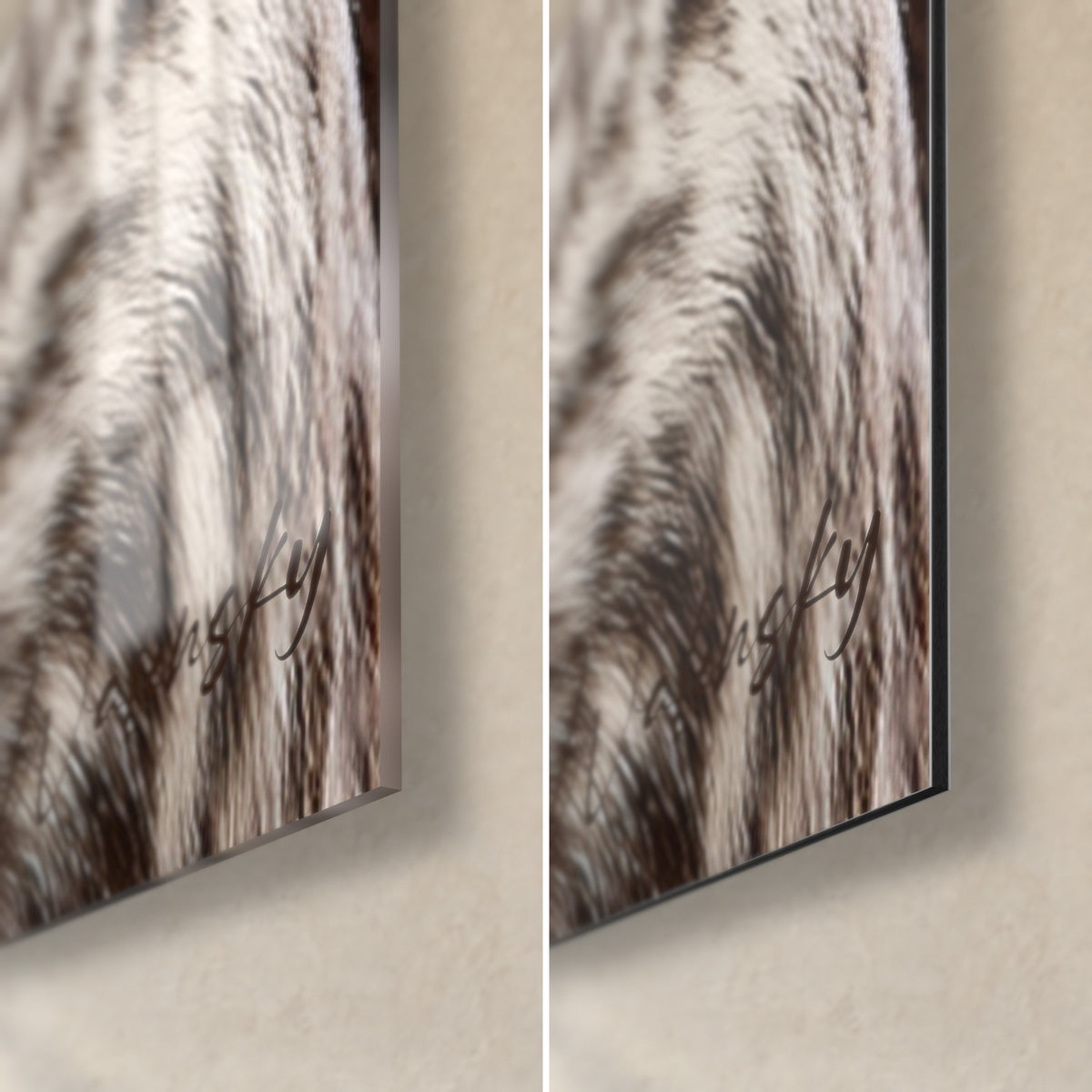 Schilderij hondenportret met bruine en crèmekleurige vacht, rechtsonder: glanzend acrylglas met reflecties, mat zwart Dibond-aluminium, rand van 3 mm