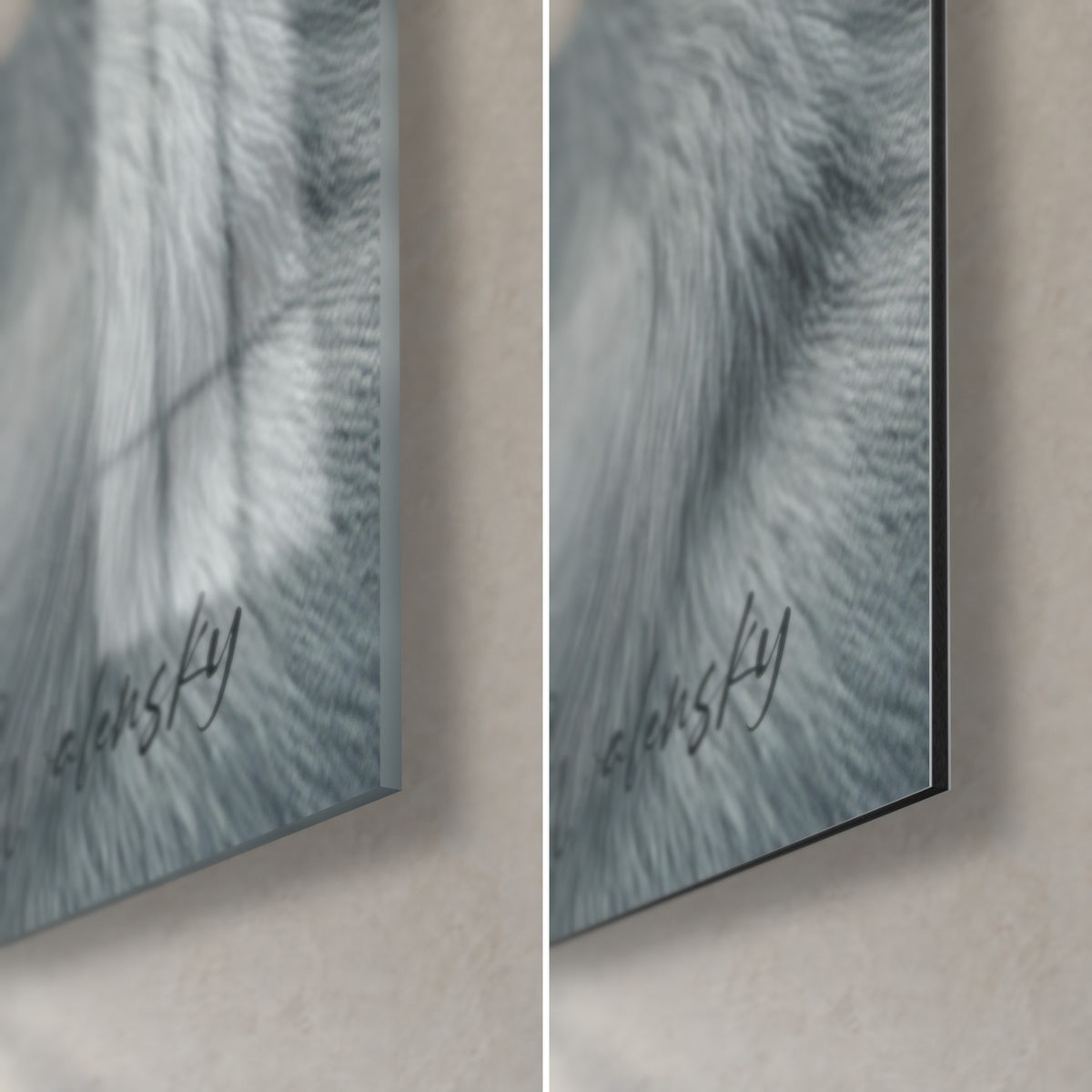 Wall art of a white Dogo with silvery fur, bottom right corner: glossy acrylic glass on the left, matte black Dibond aluminum on the right