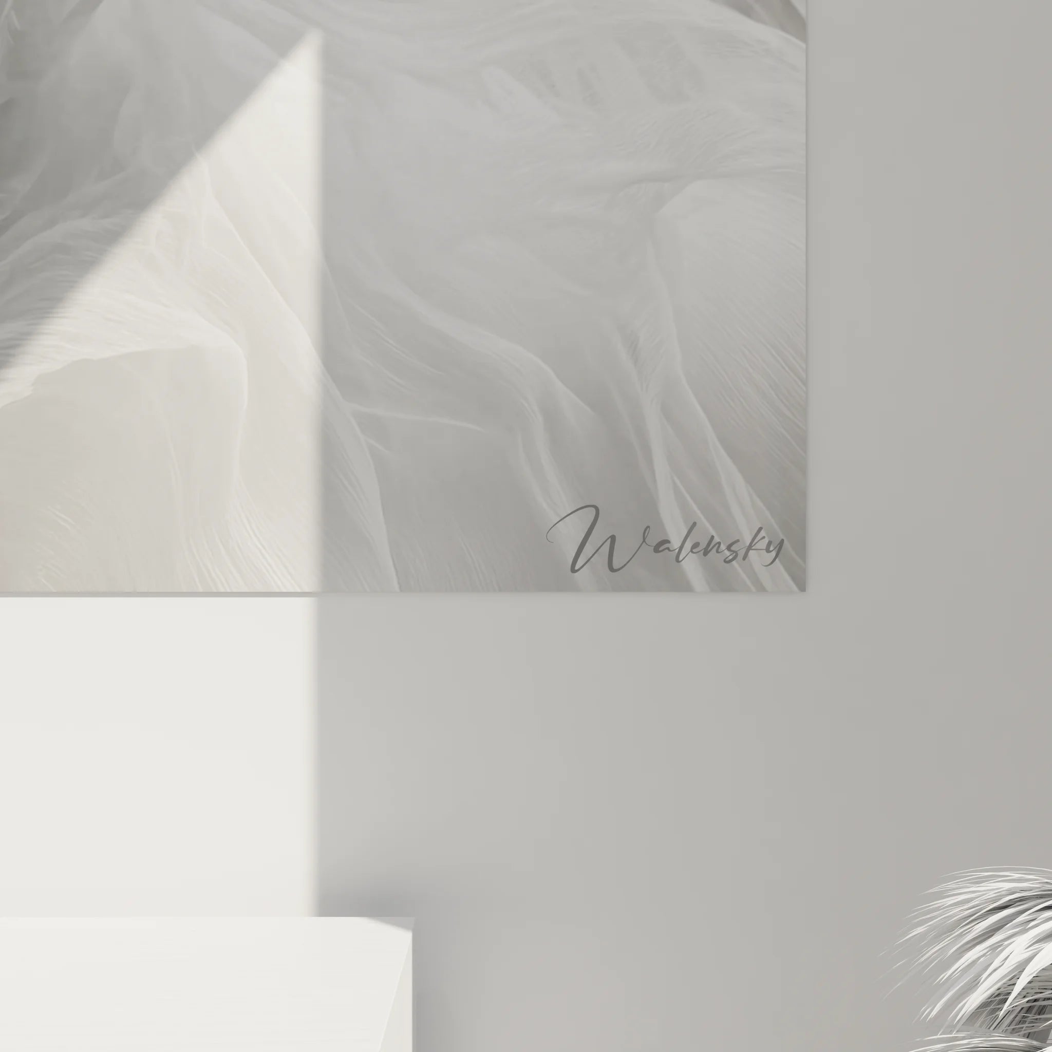 Vue ensemble tableau femme plumes éthérées art mural noir et blanc décoration contemporaine