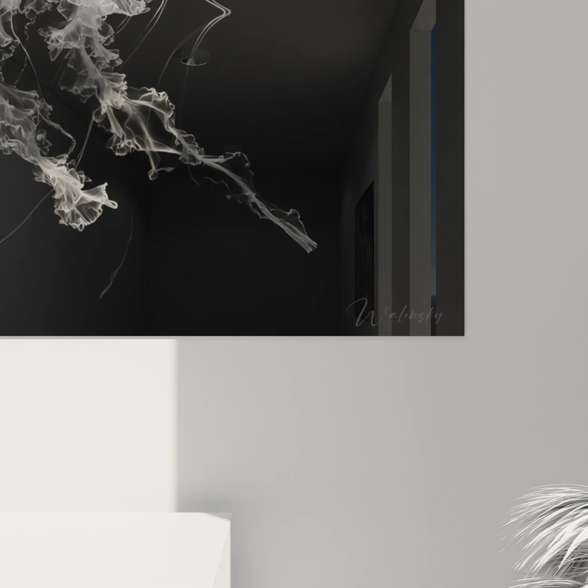 Vue ensemble tableau méduse noir et blanc, photographie marine décorative pour intérieur contemporain