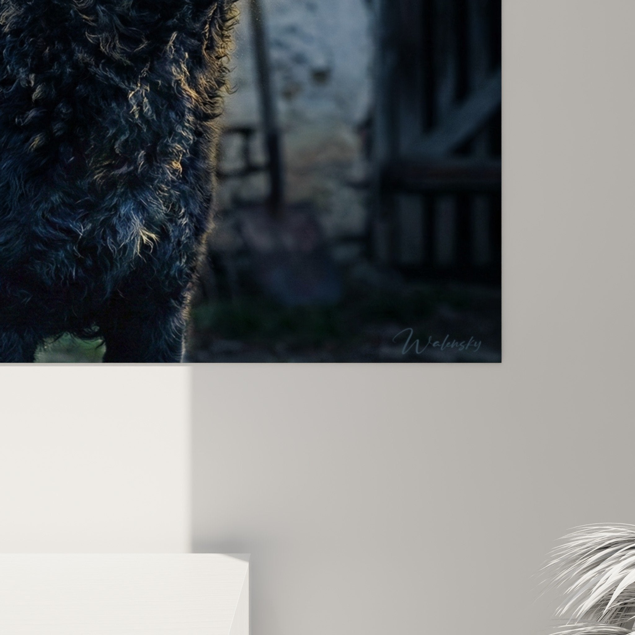 Vue d'ensemble tableau mural Mudi salon décoration moderne portrait chien atmosphère contemplative