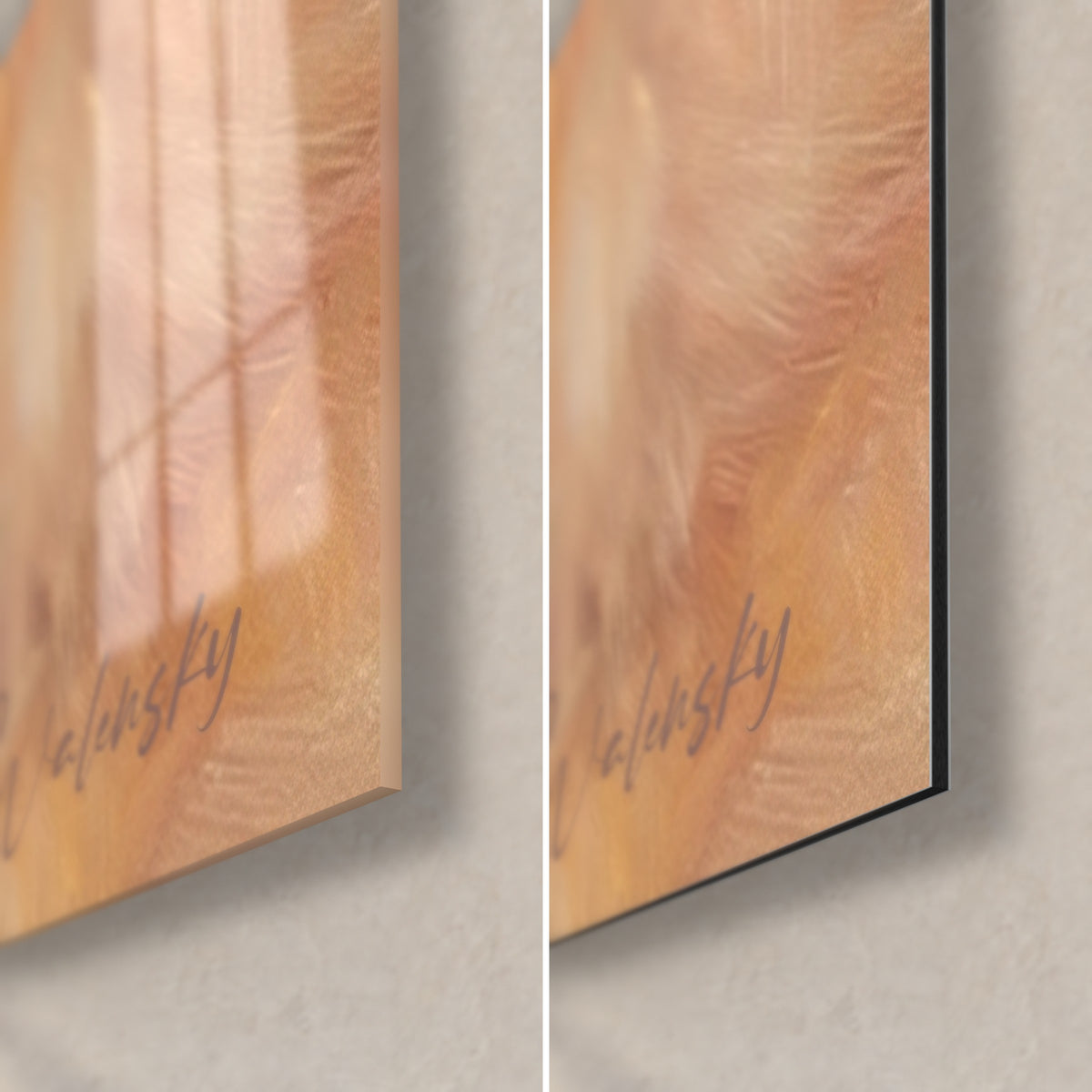 Cuadro de perro spitz de pelo albaricoque y crema, esquina inferior derecha: cristal acrílico brillante a la izquierda, aluminio Dibond mate a la derecha
