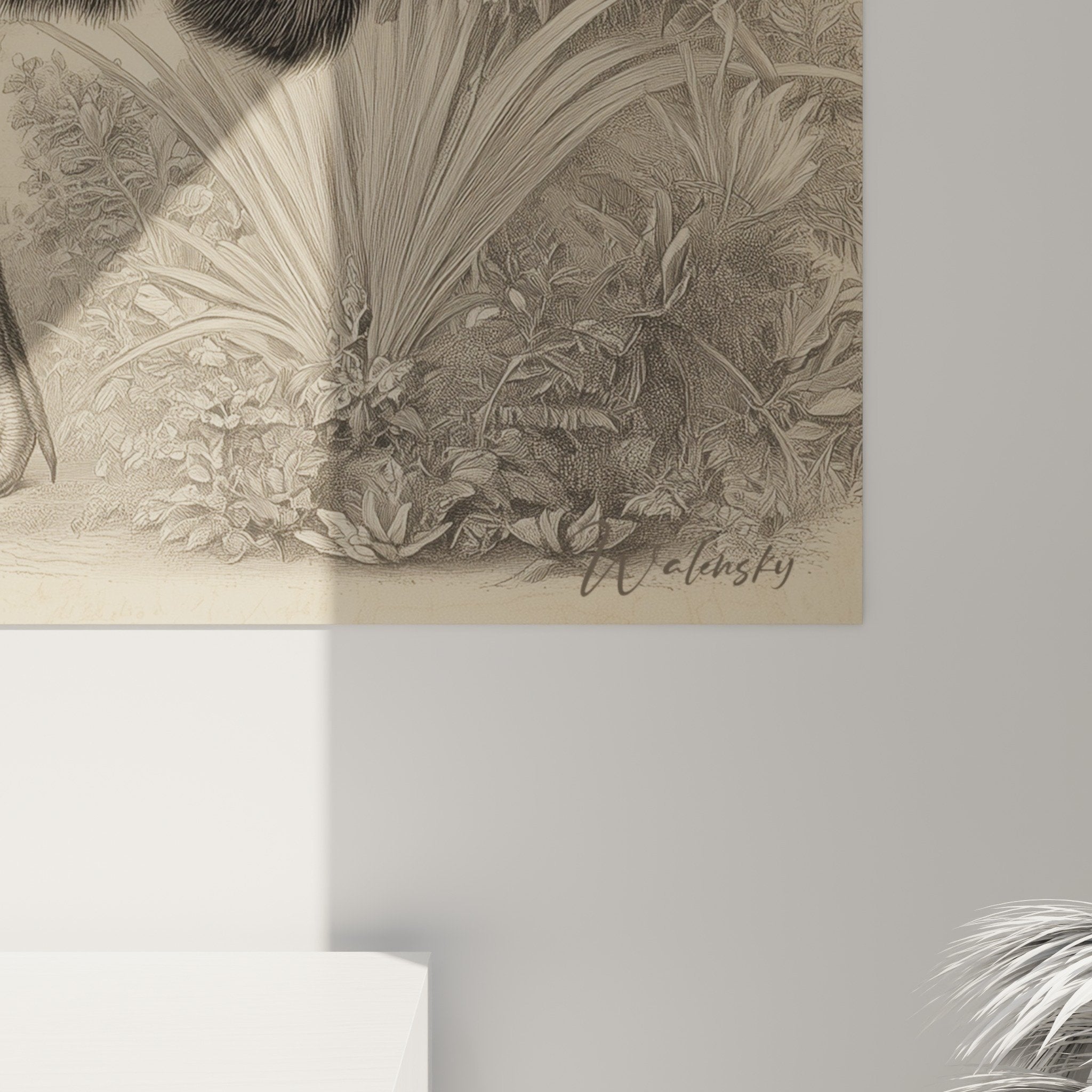 Tableau mural autruche tons sepia decoration interieur naturel gravure ornithologique retro