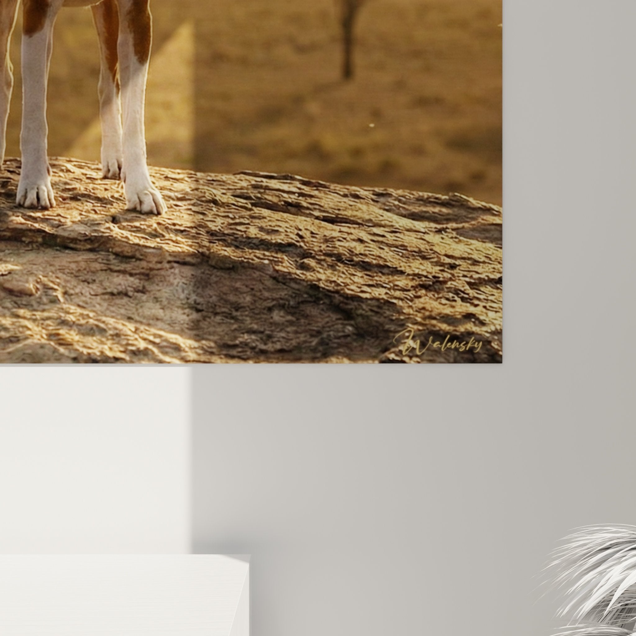 Vue ensemble tableau Basenji savane africaine decoration interieur moderne tons chauds ocre