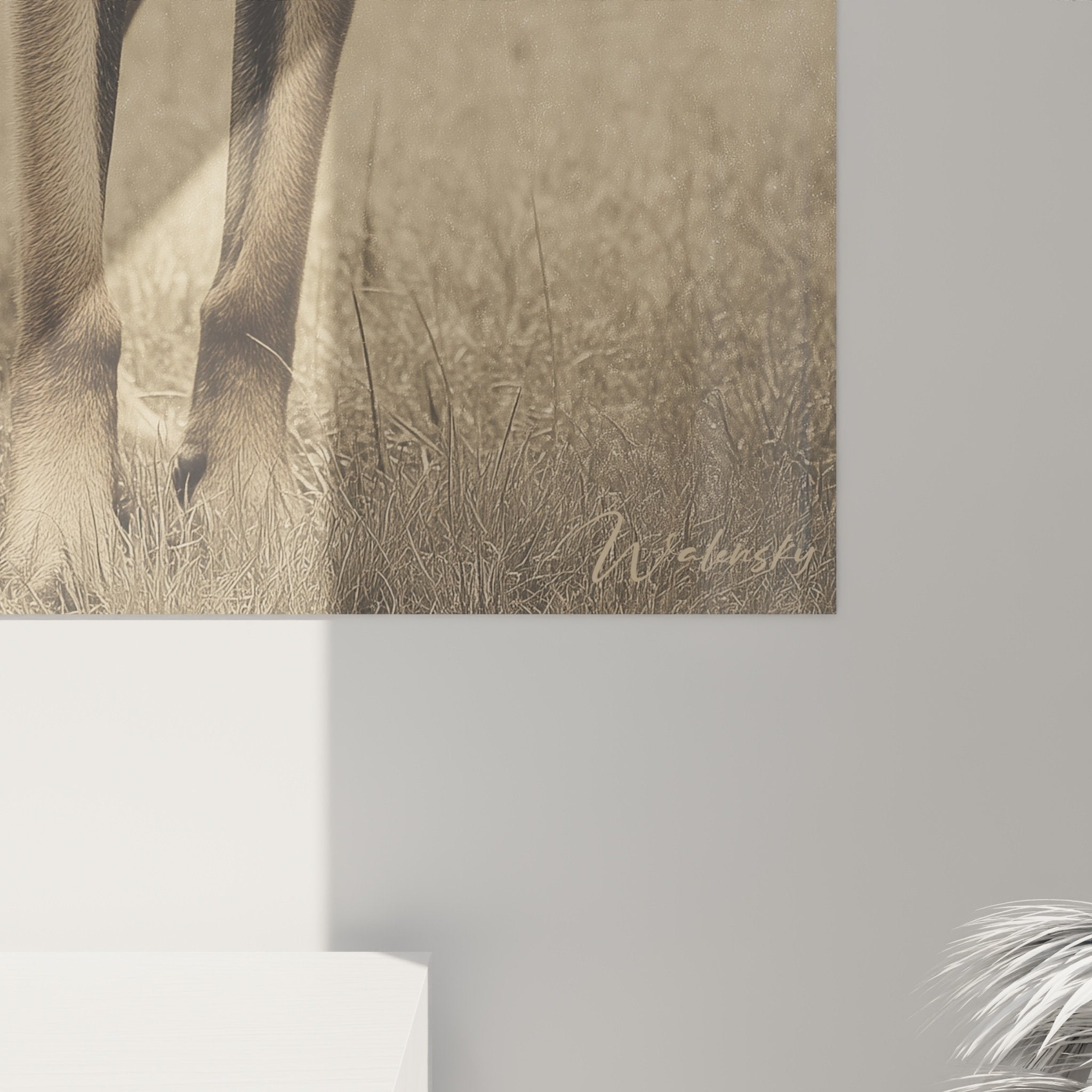 vue ensemble tableau berger belge malinois salon decoration murale moderne style photographique