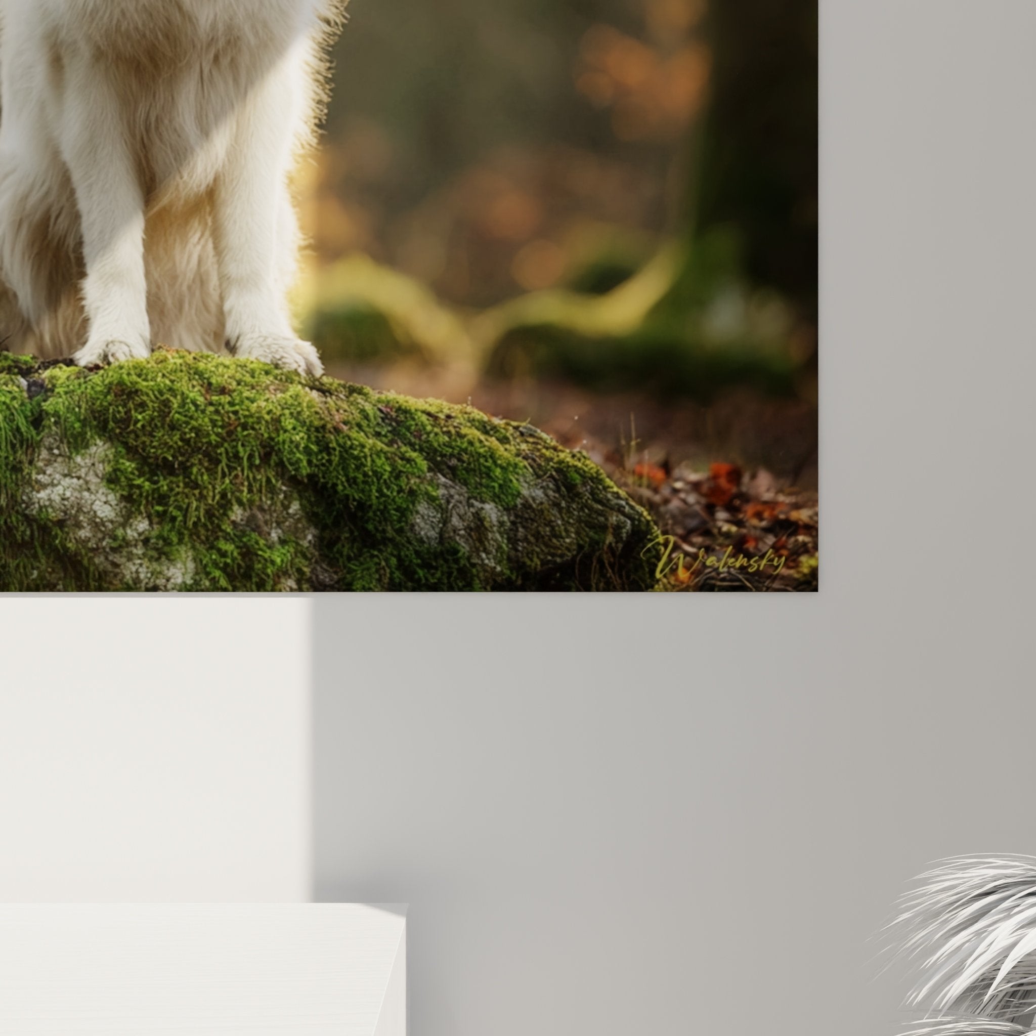 Vue ensemble tableau berger blanc suisse rocher moussu decoration interieur naturelle