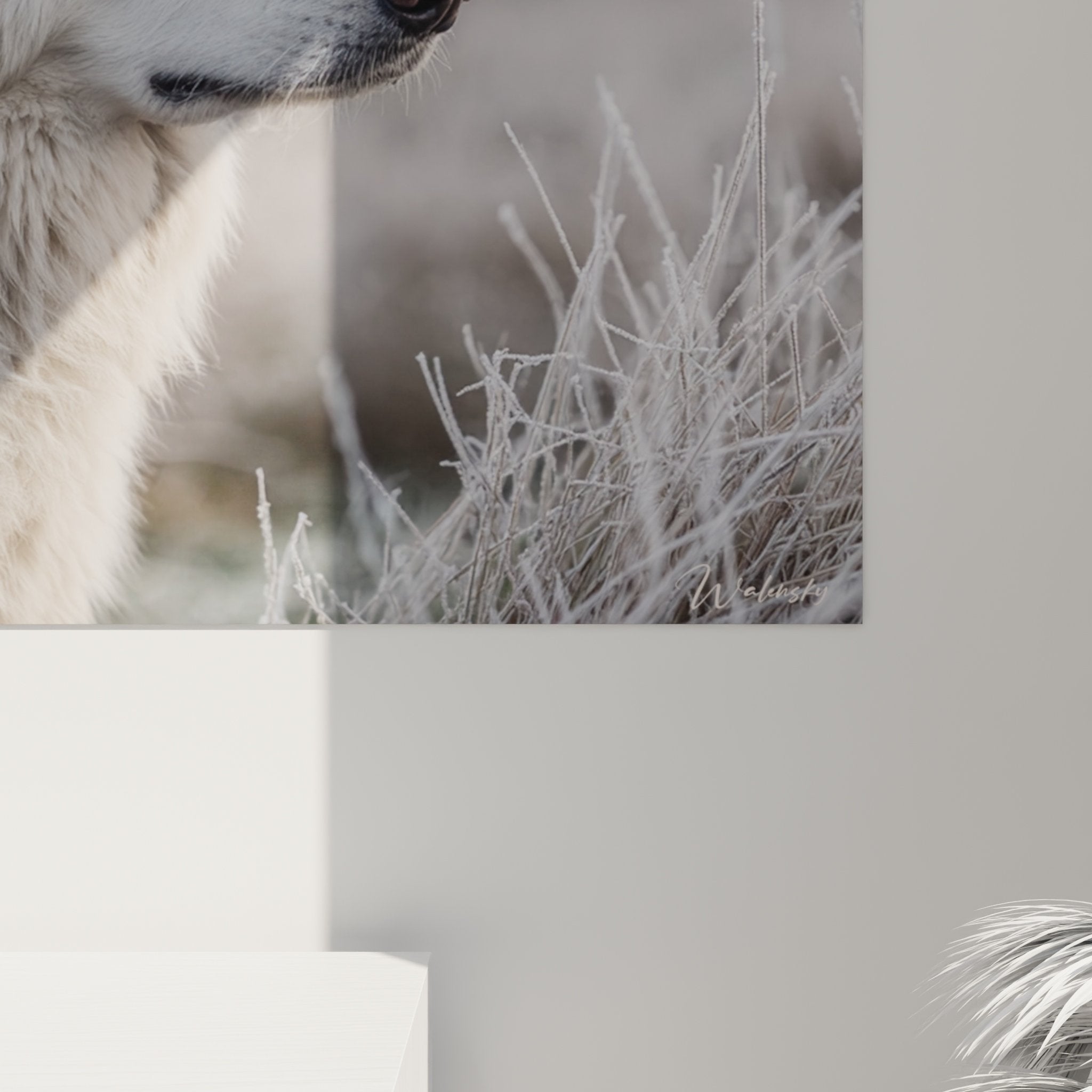 Vue ensemble tableau Berger Blanc Suisse salon moderne decoration murale portrait animalier contemplatif