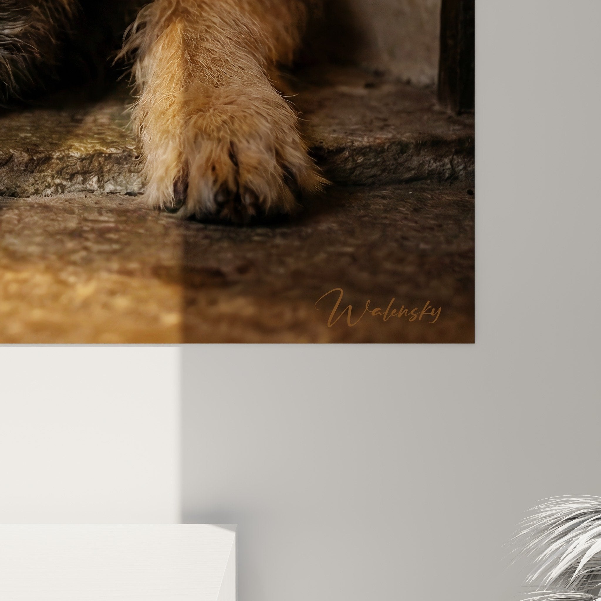 Overall view of Berger Picard dog lying down wall art, interior home decoration living room, warm tones cozy atmosphere