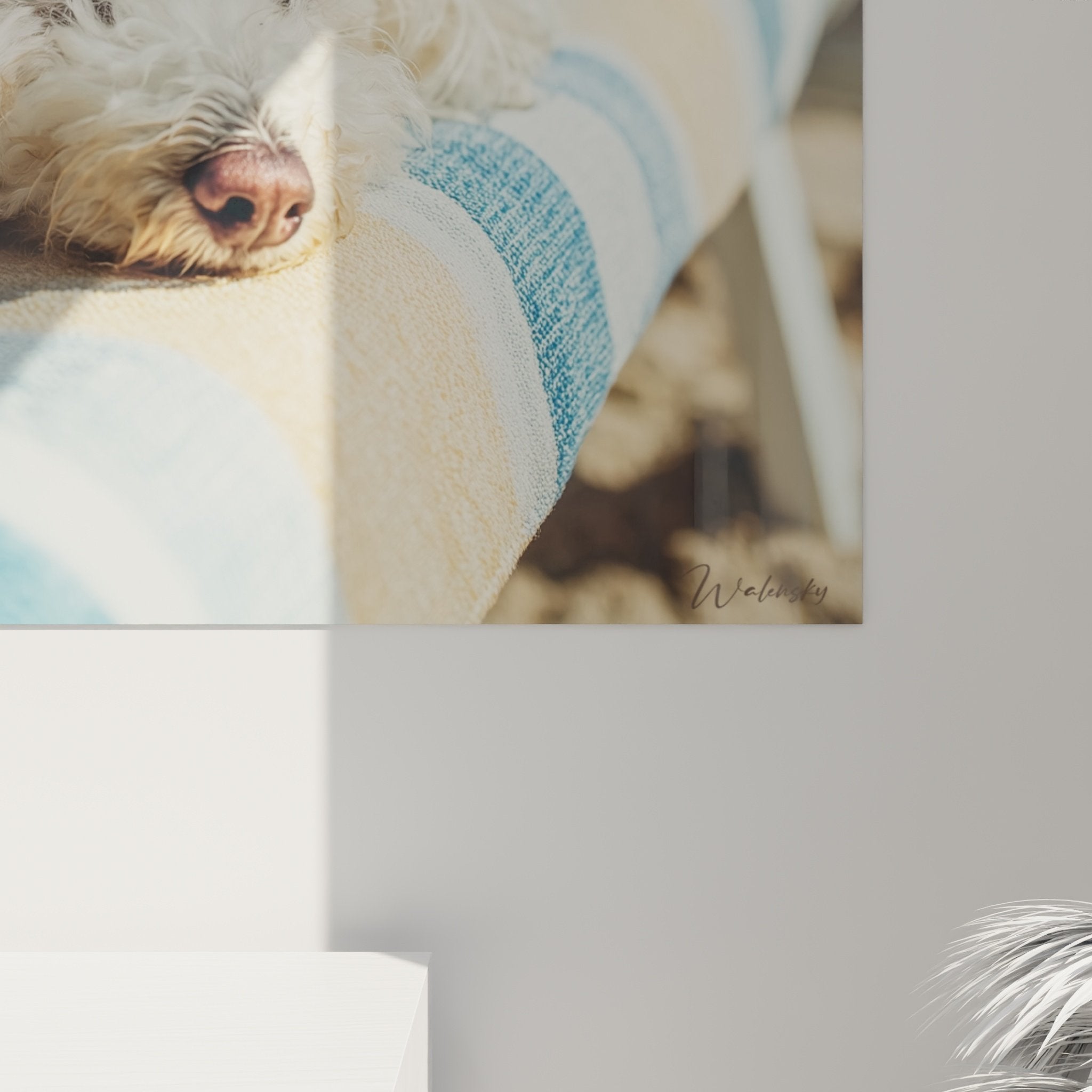 Gesamtansicht Gemälde Bichon Frise Hund schlafend auf Nautik-Kissen Wanddekoration fotografischer Stil