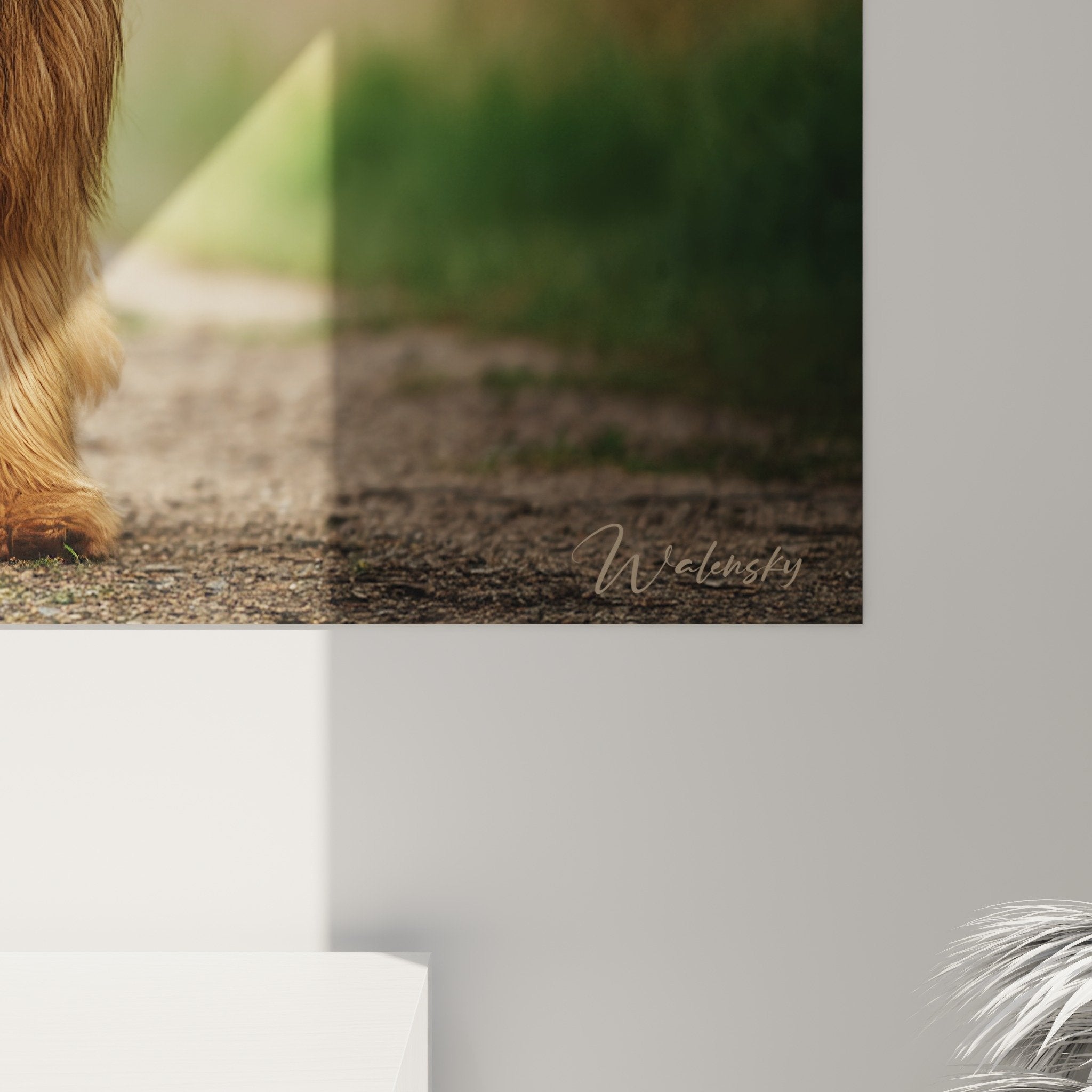 Vue ensemble tableau Briard dans intérieur moderne salon décoration murale art animalier