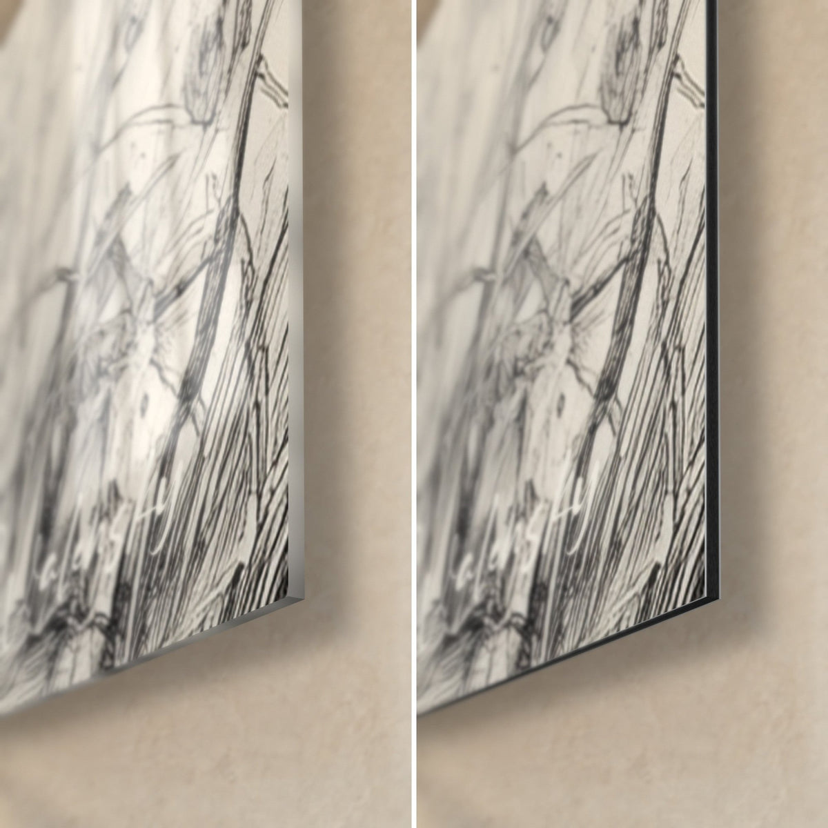 Wall art canine portrait in black and cream etching, fine tall grasses in the lower right corner, glossy glass on the left and matte Dibond on the right