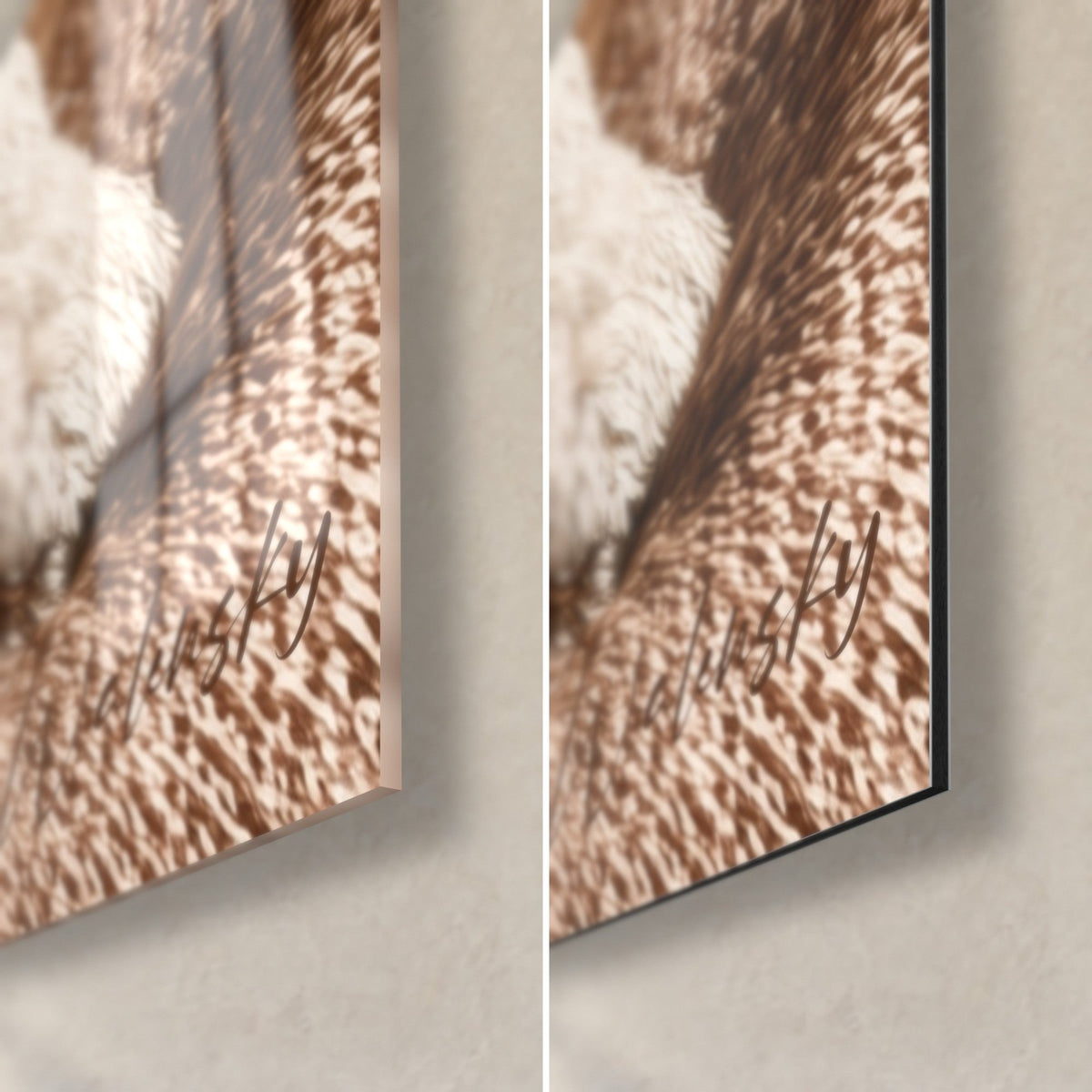 Wall art Portrait of a copper and white dog, bottom right corner of the beige throw, signature, glossy acrylic glass and matte Dibond, 3 mm edge