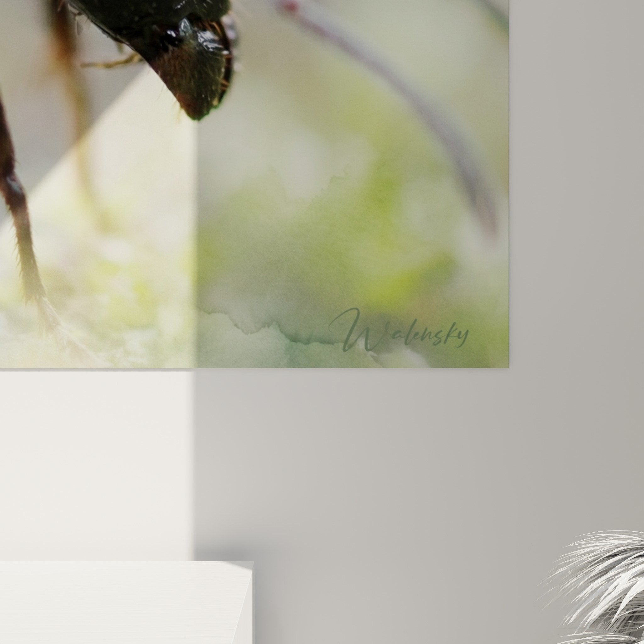 Gesamtansicht Ameisen-Makrofotografie Wandbild Natur zeitgenössische Dekoration